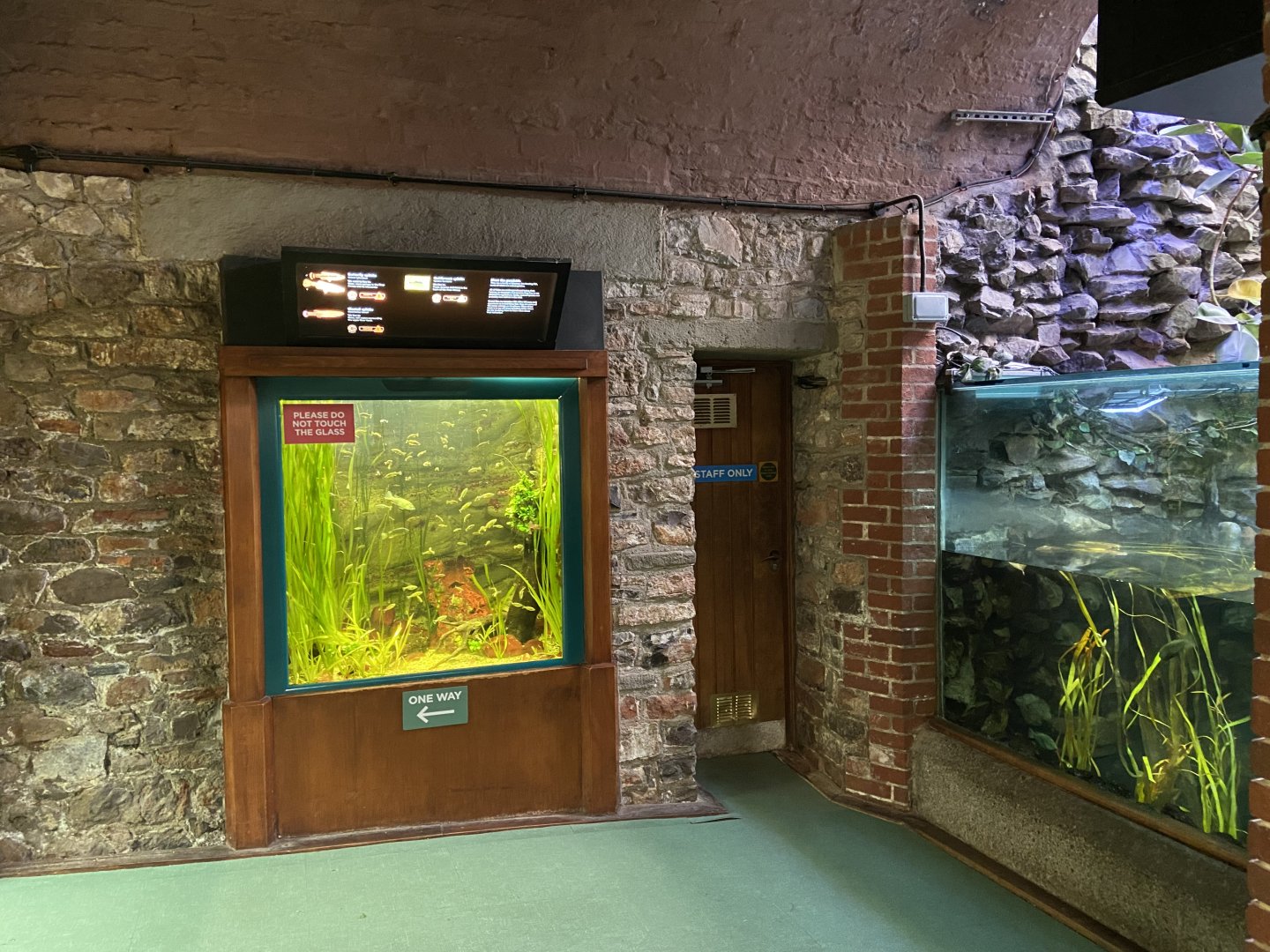 Bristol Zoo aquarium