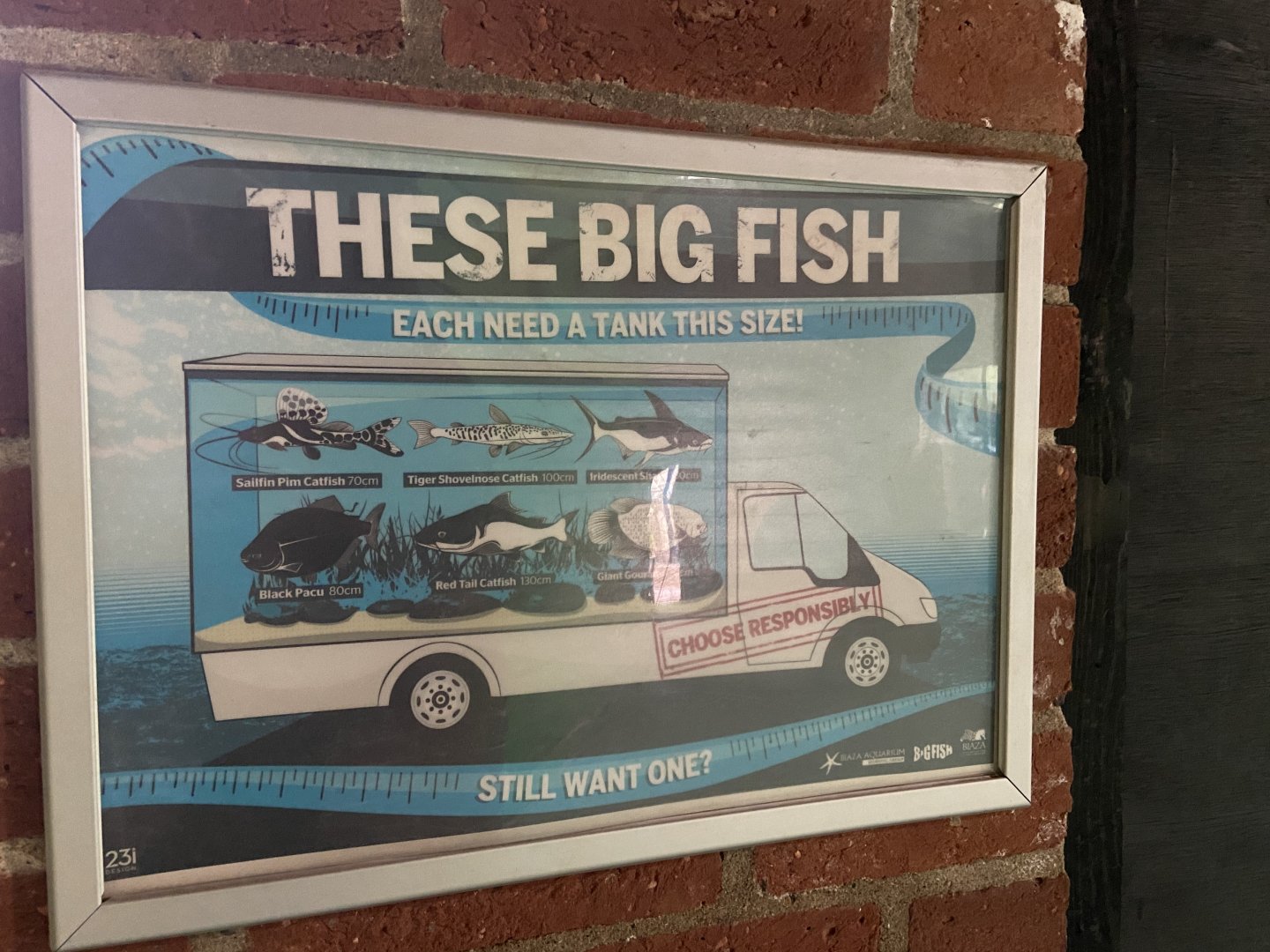 Bristol Zoo aquarium