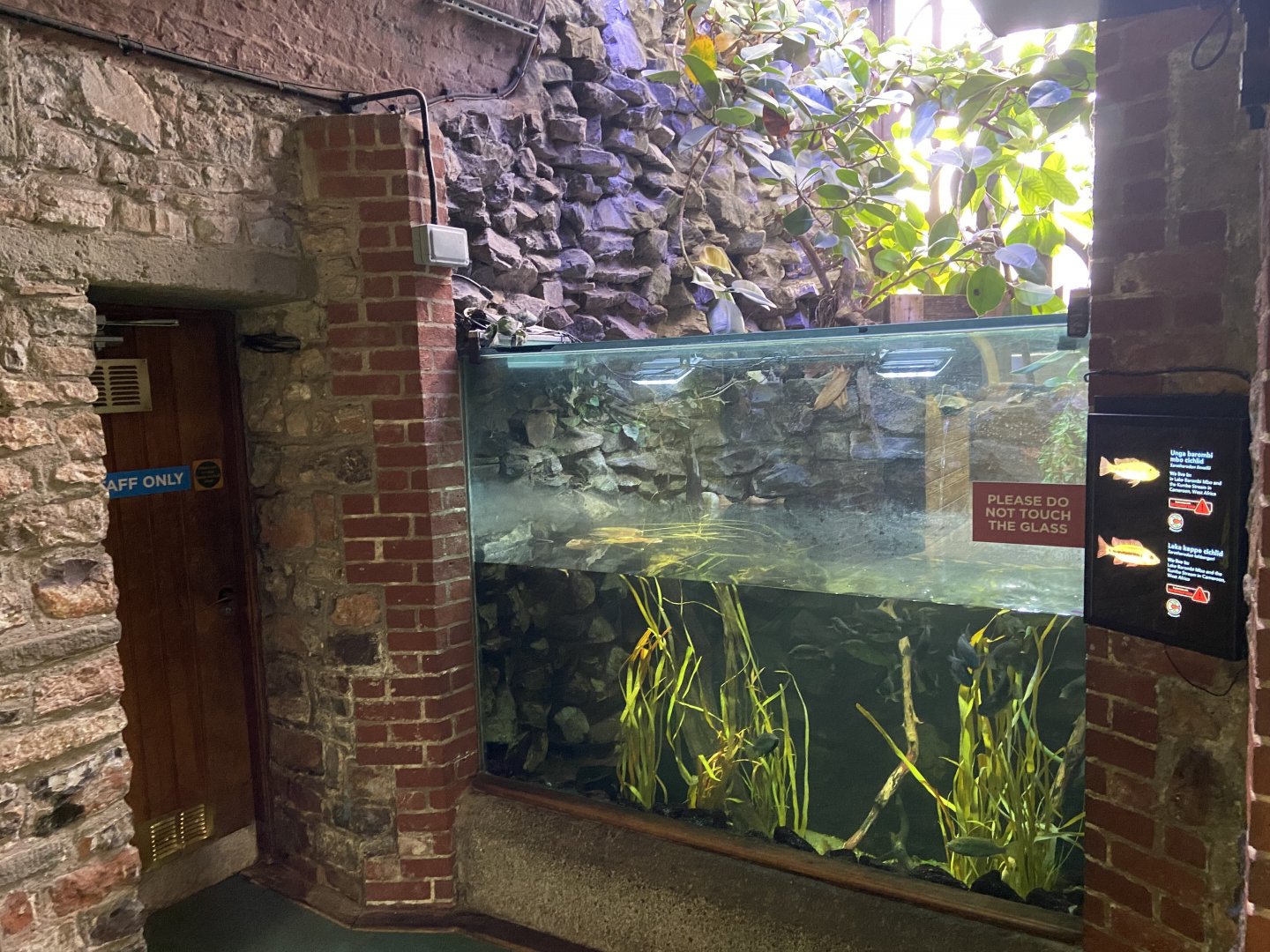 Bristol Zoo aquarium