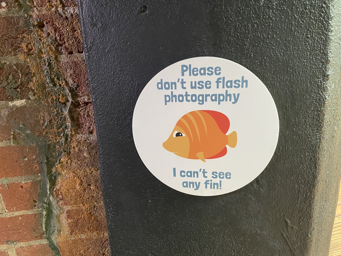 Bristol Zoo aquarium