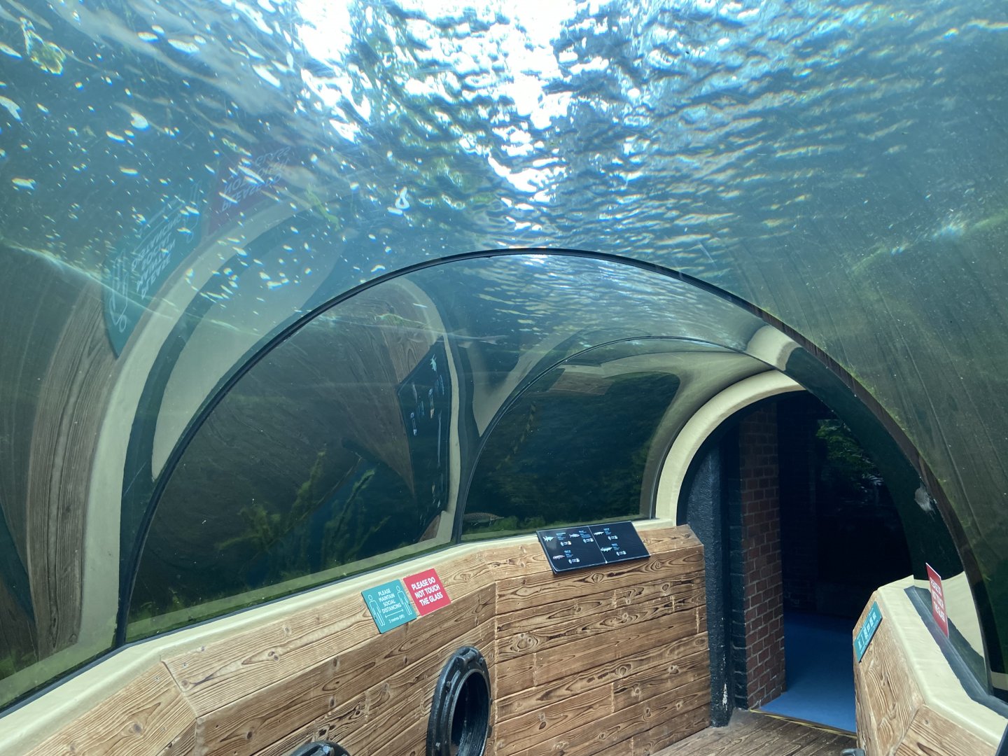 Bristol Zoo aquarium