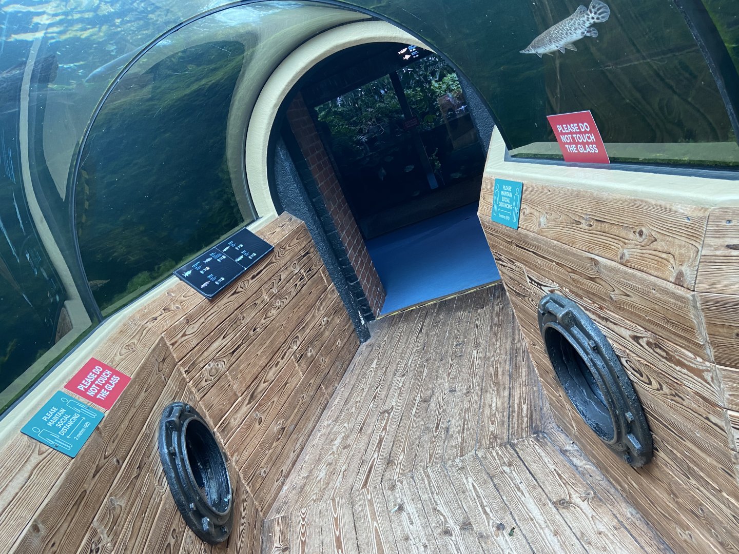 Bristol Zoo aquarium