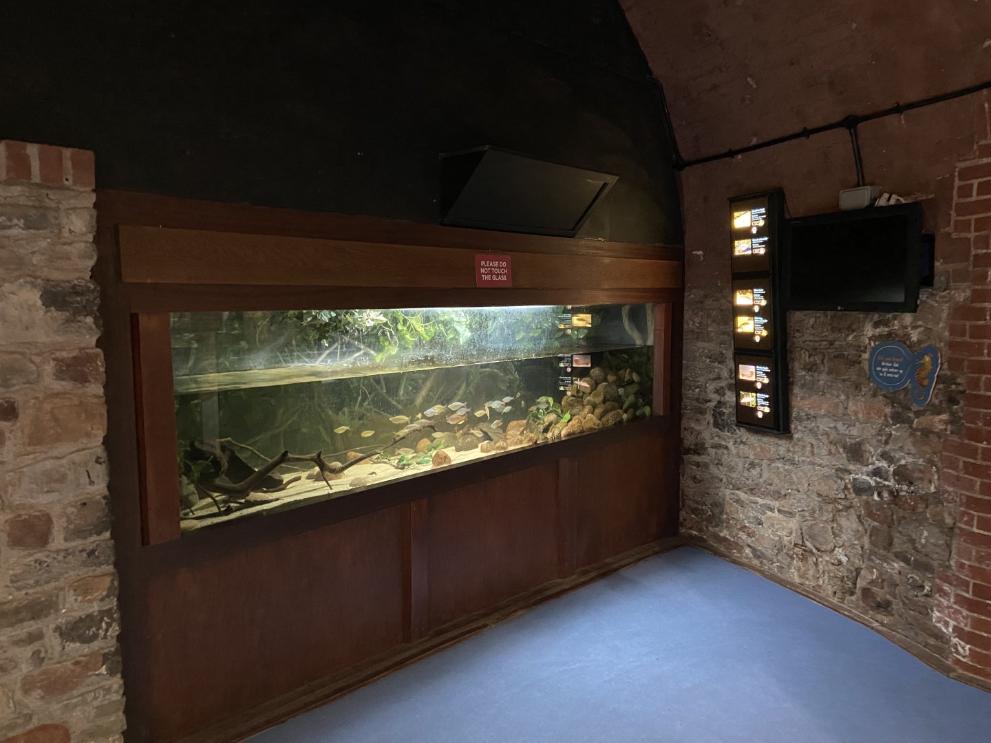 Bristol Zoo aquarium