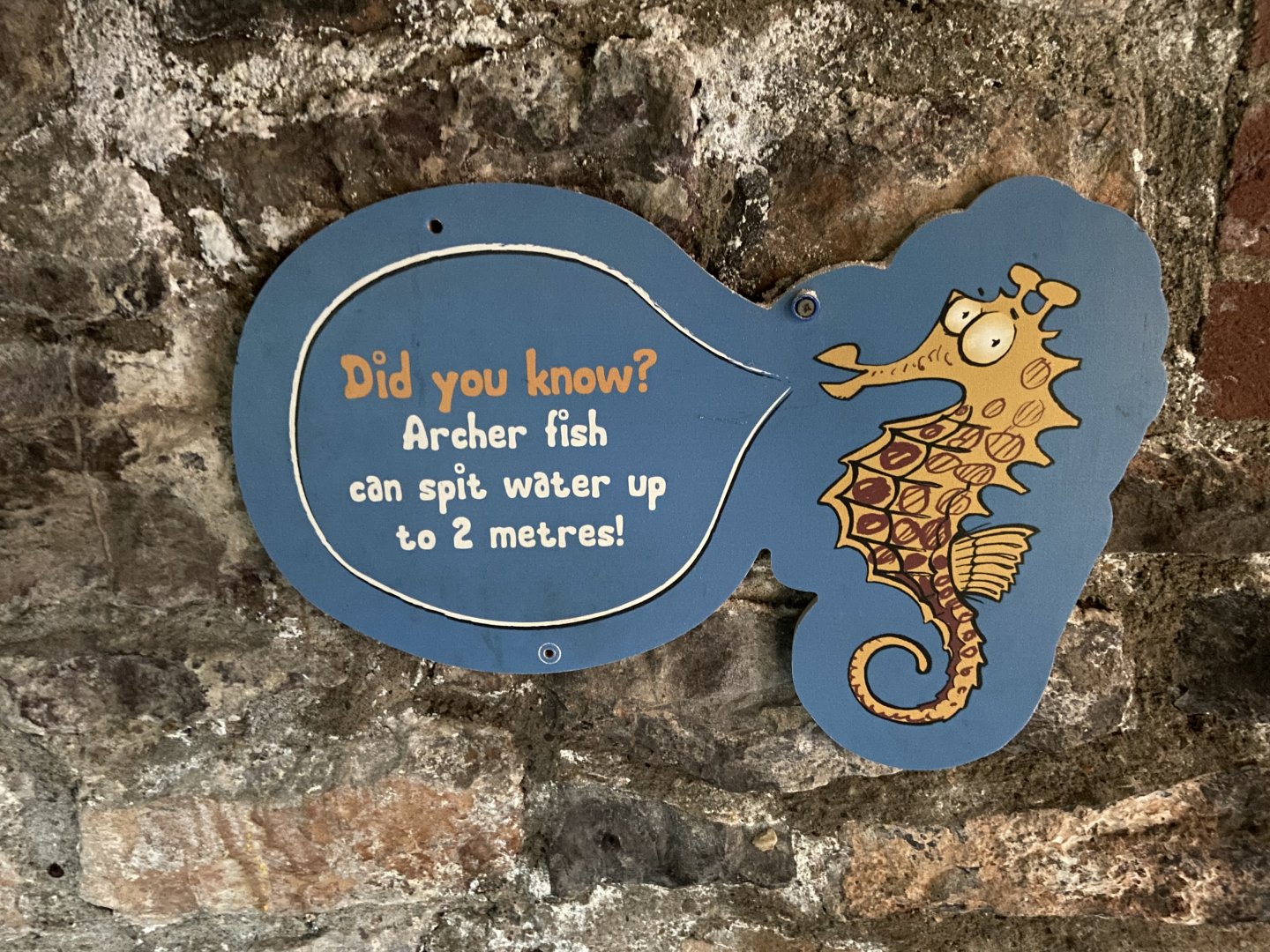 Bristol Zoo aquarium