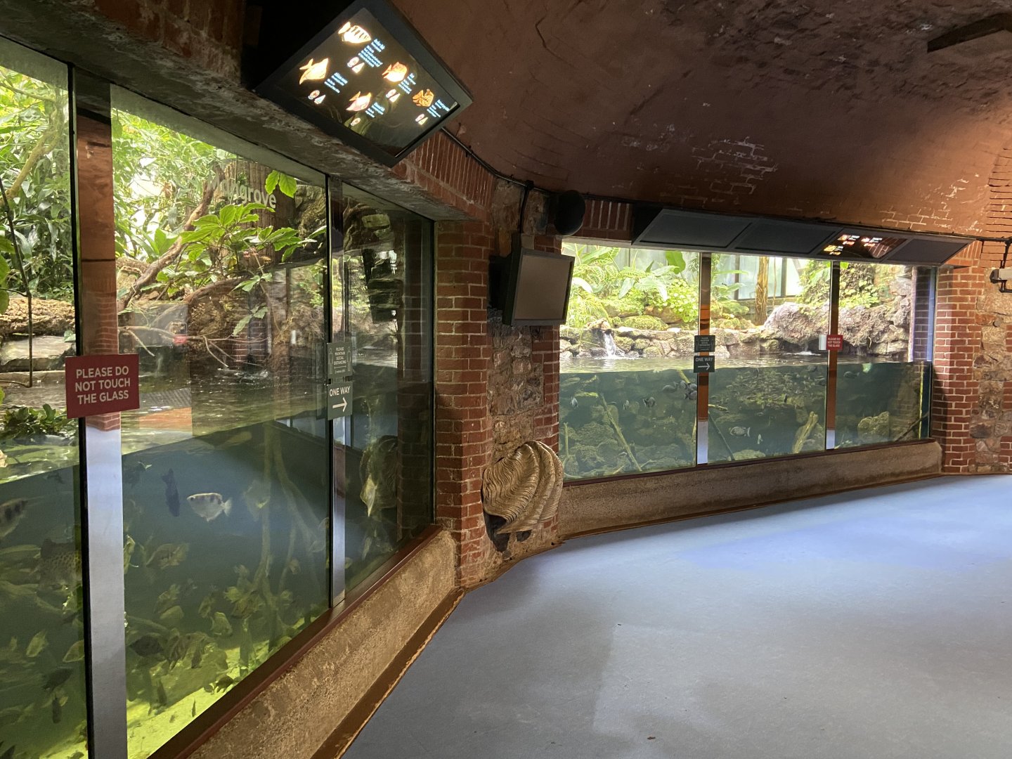 Bristol Zoo aquarium