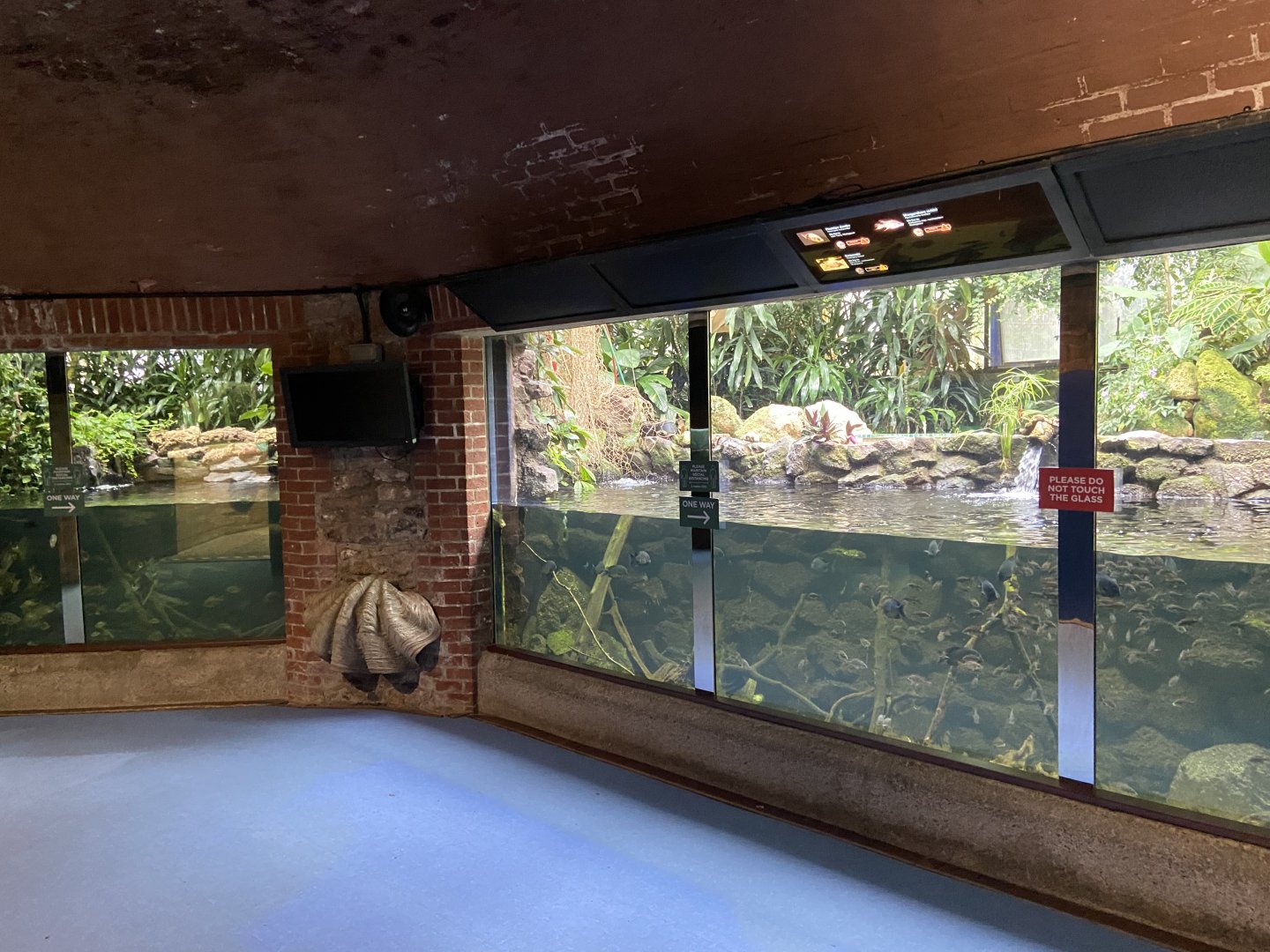 Bristol Zoo aquarium