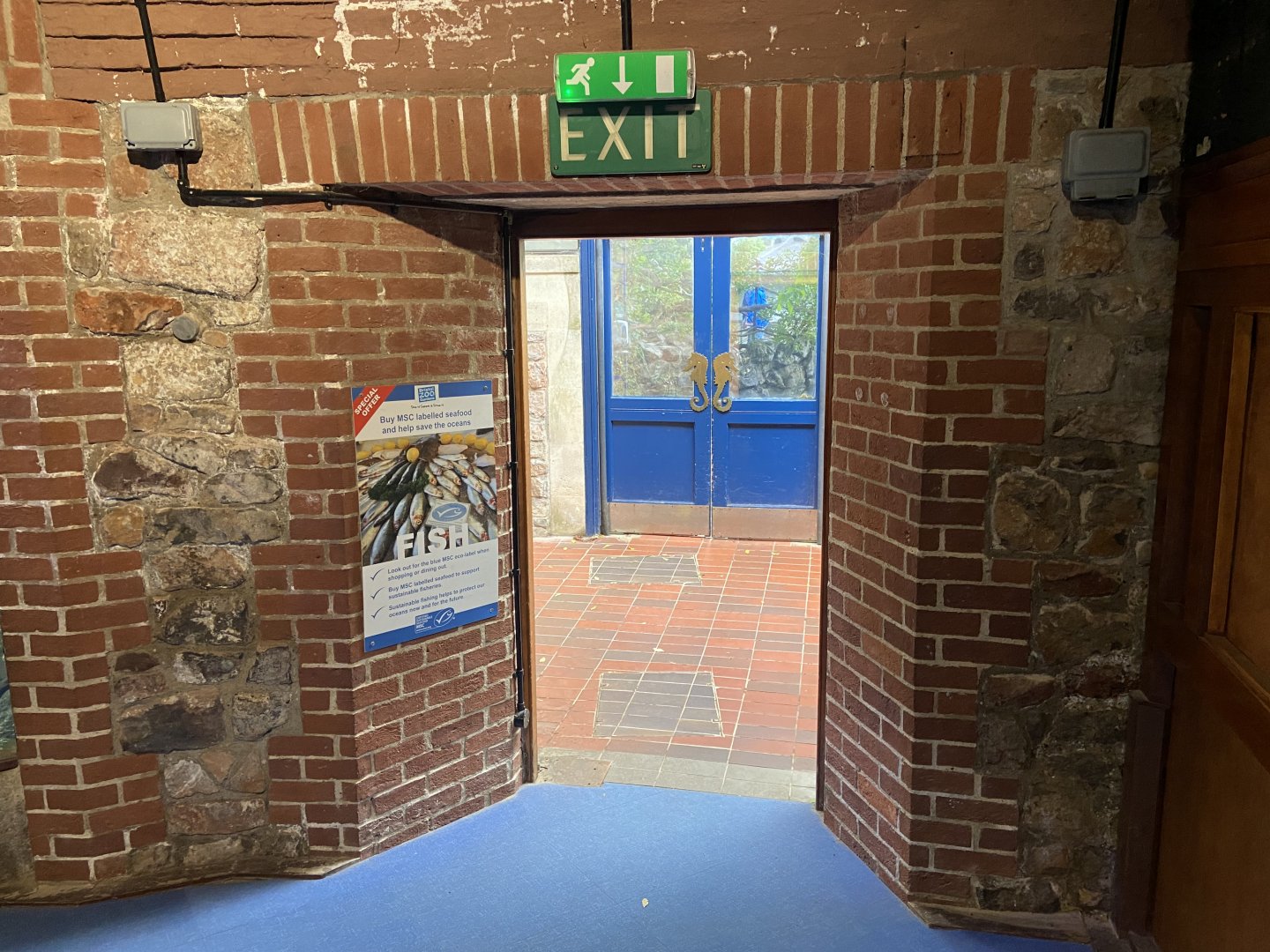 Bristol Zoo aquarium