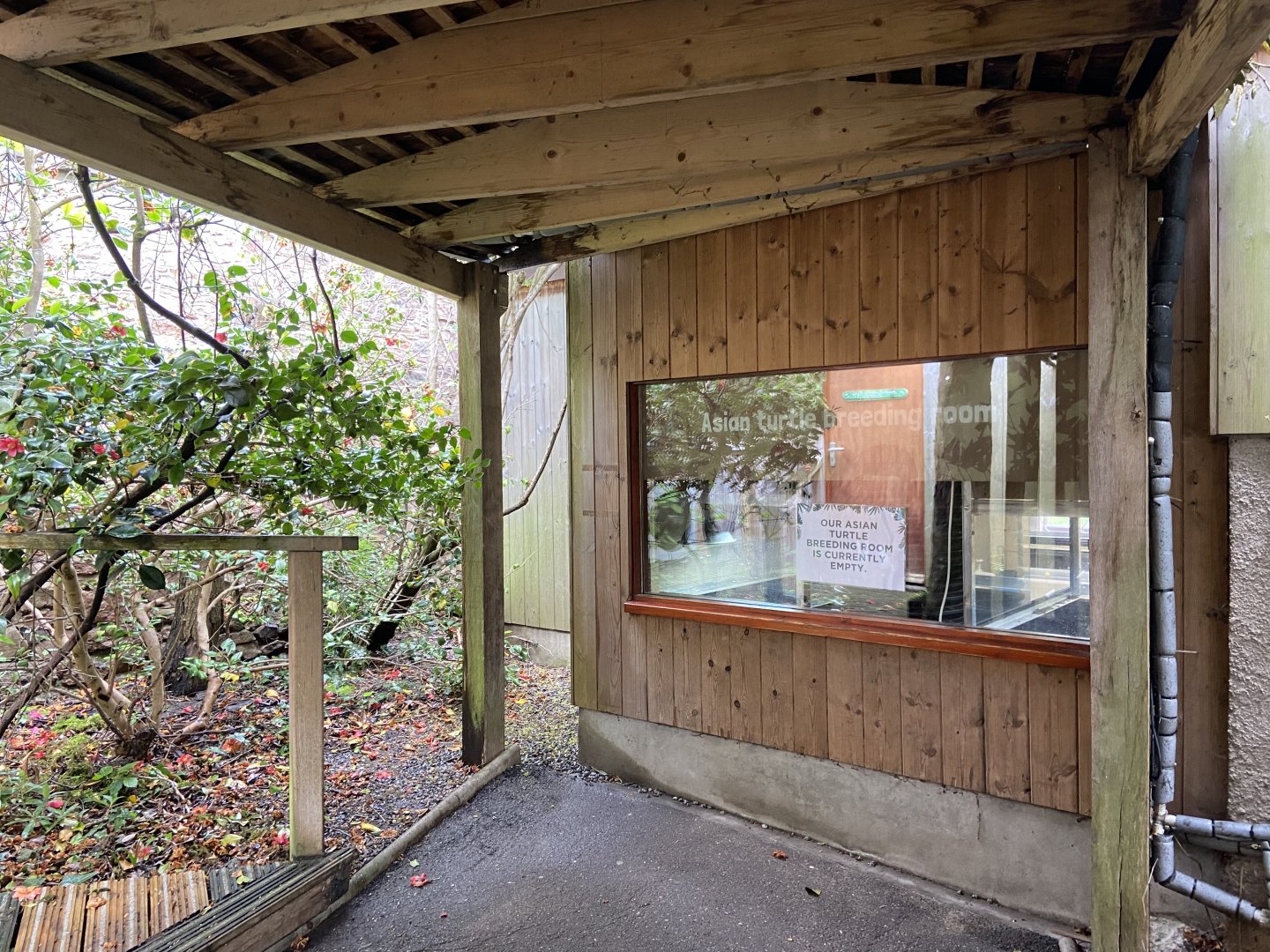 Bristol Zoo Asian turtle breeding room