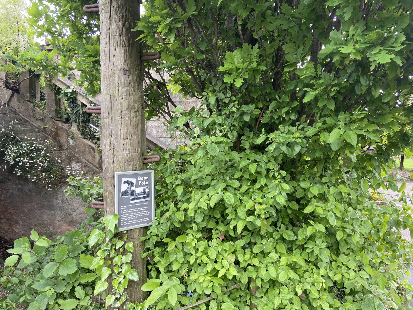 Bristol Zoo bear pole