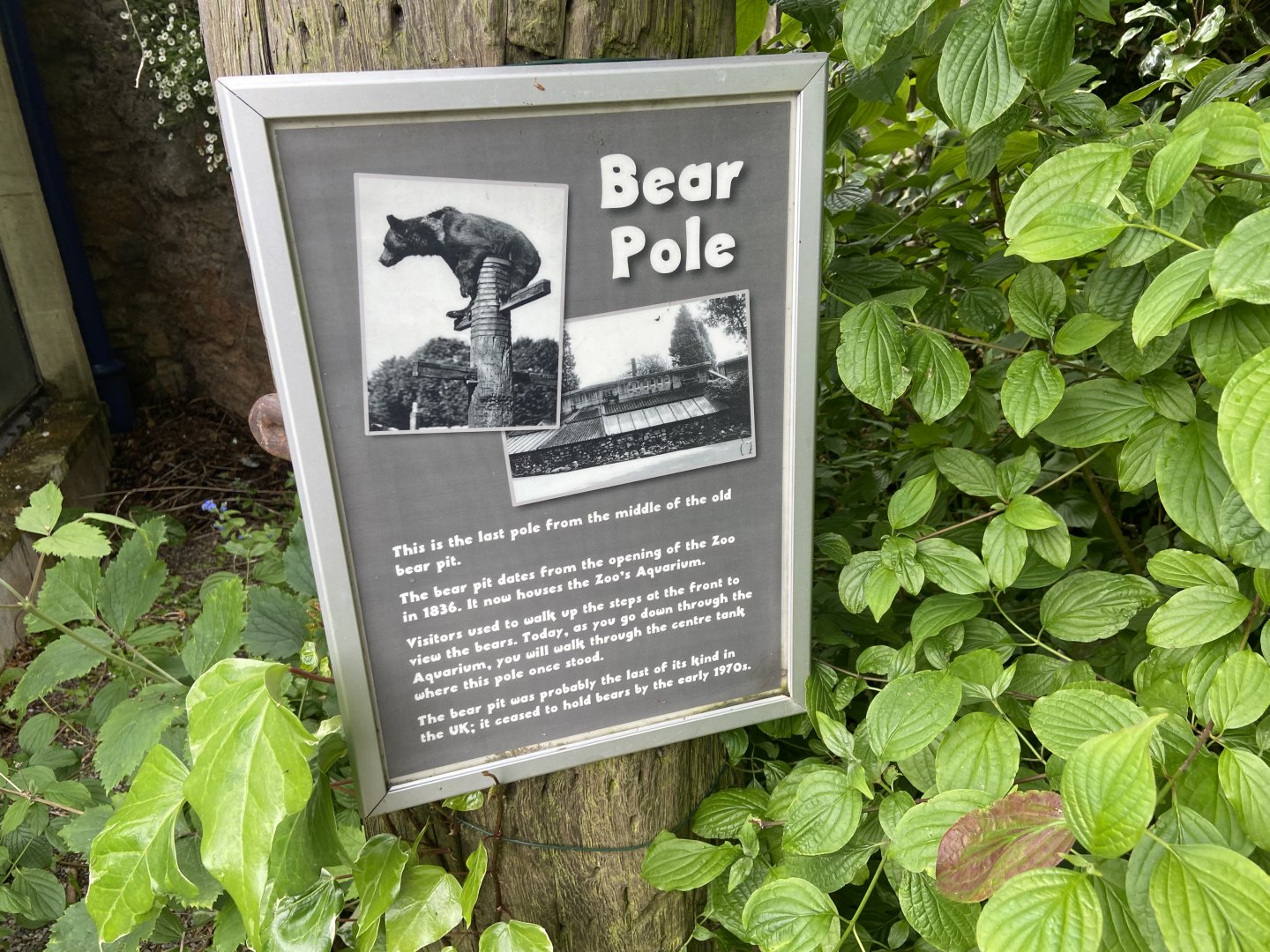 Bristol Zoo bear pole