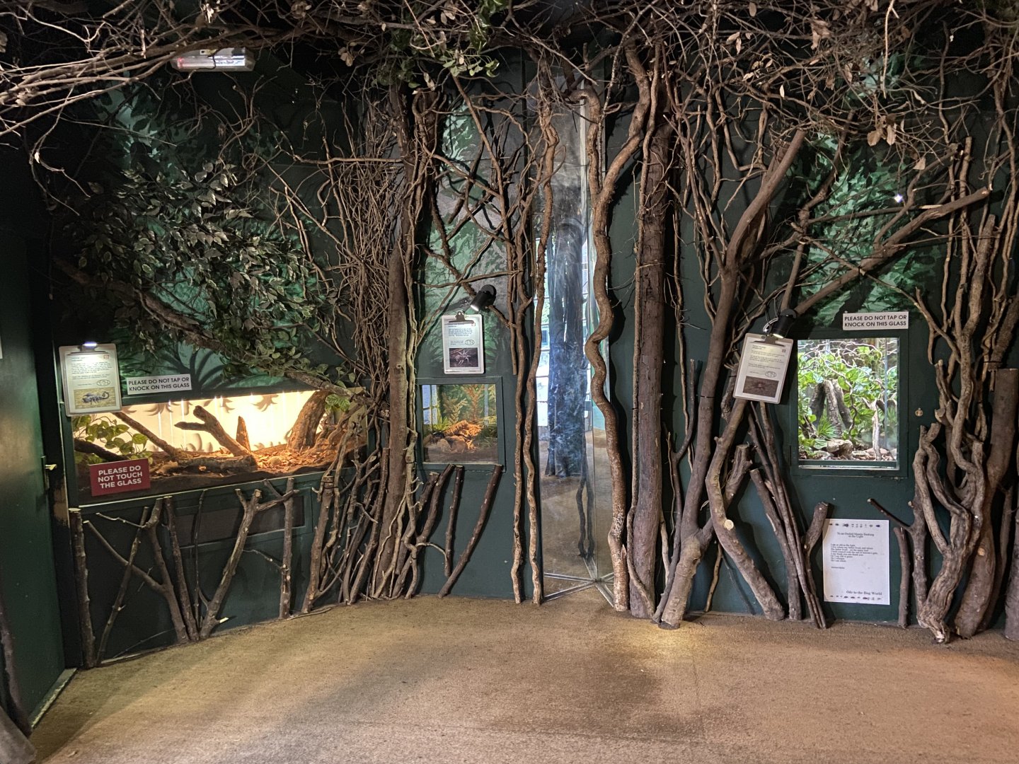 Bristol Zoo Bug World