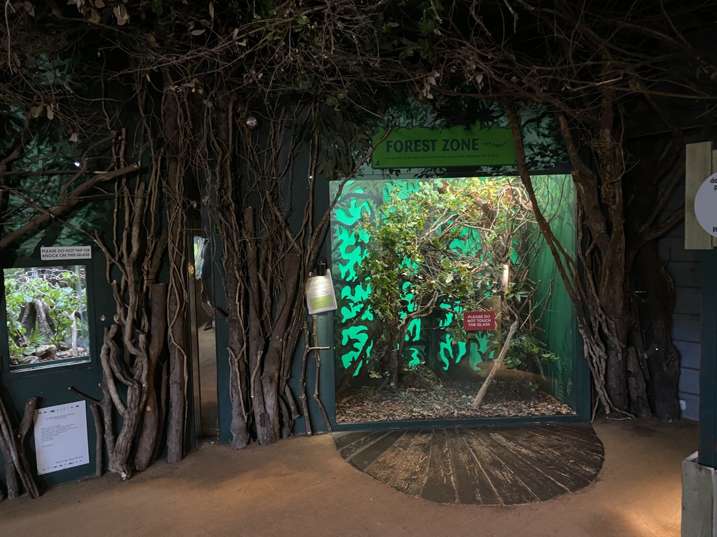 Bristol Zoo Bug World