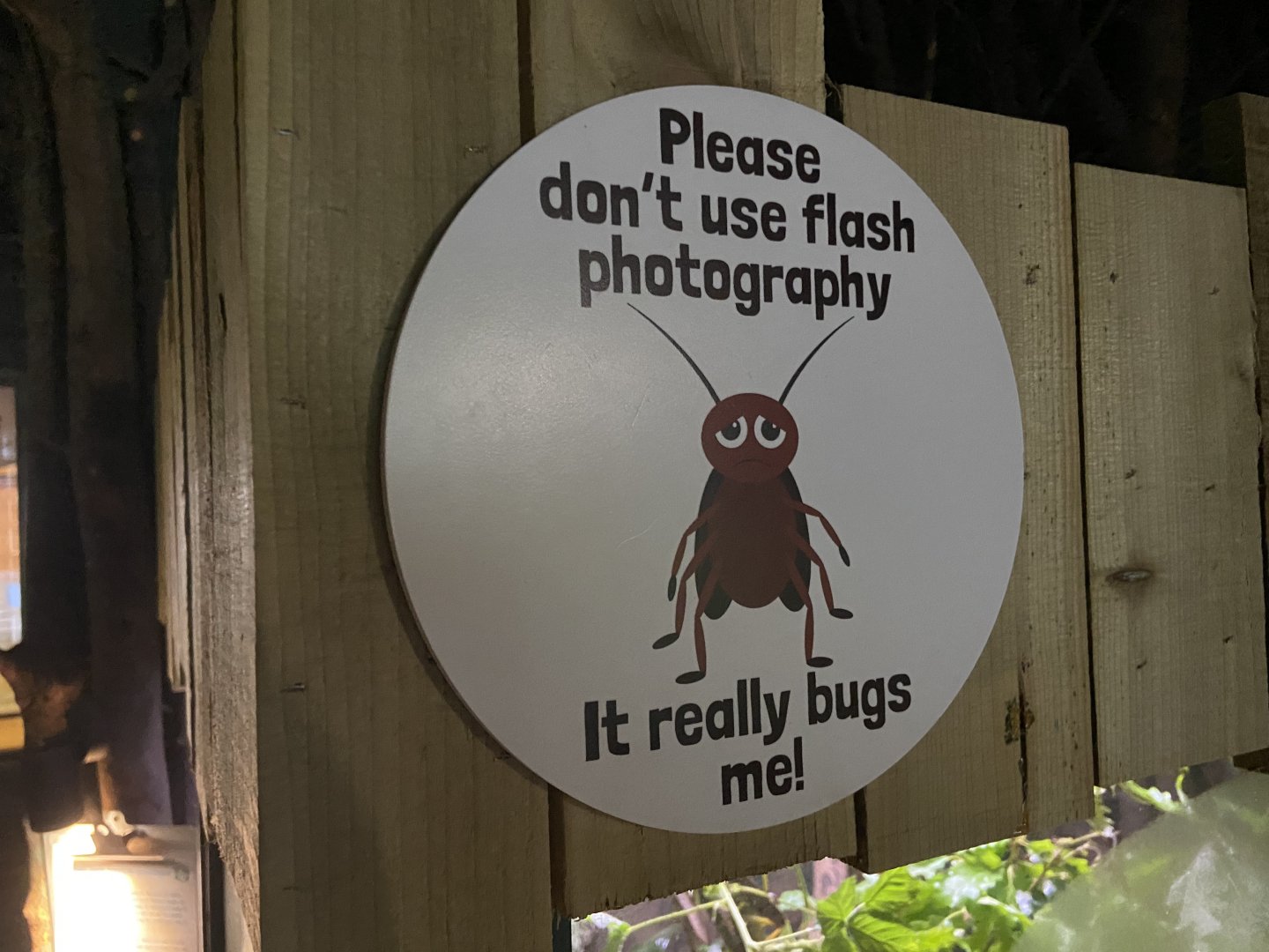 Bristol Zoo Bug World