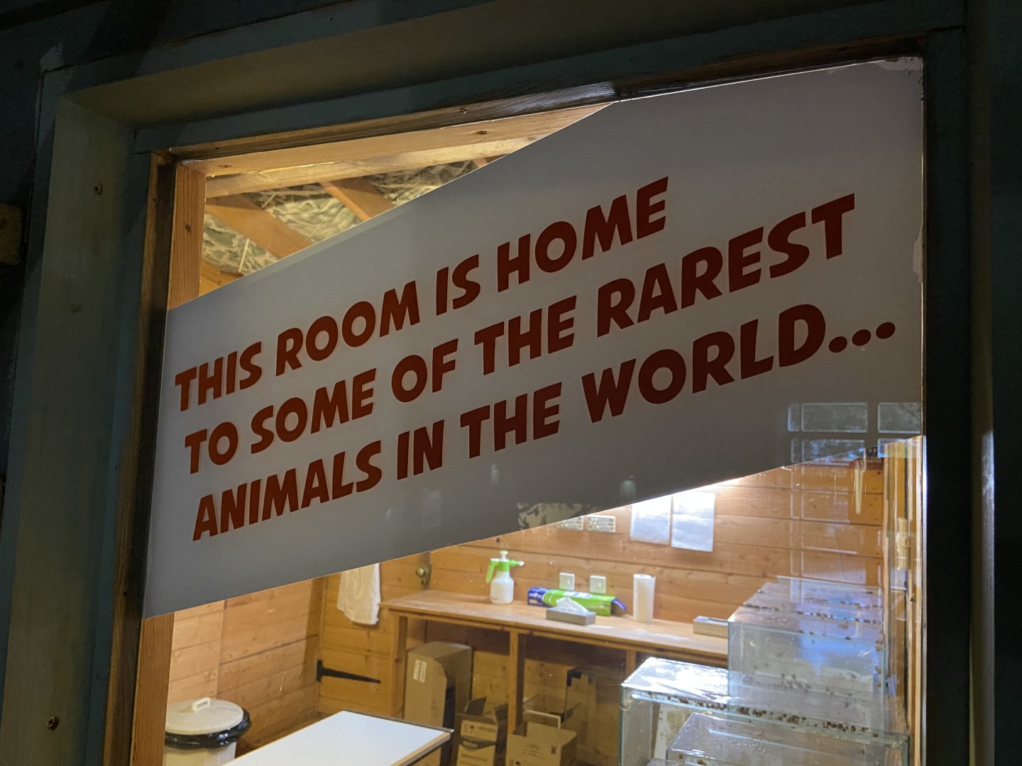 Bristol Zoo Bug World