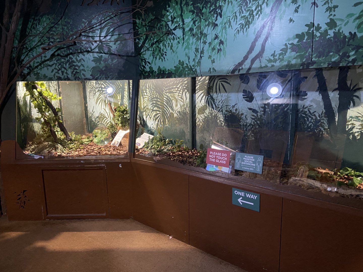 Bristol Zoo Bug World