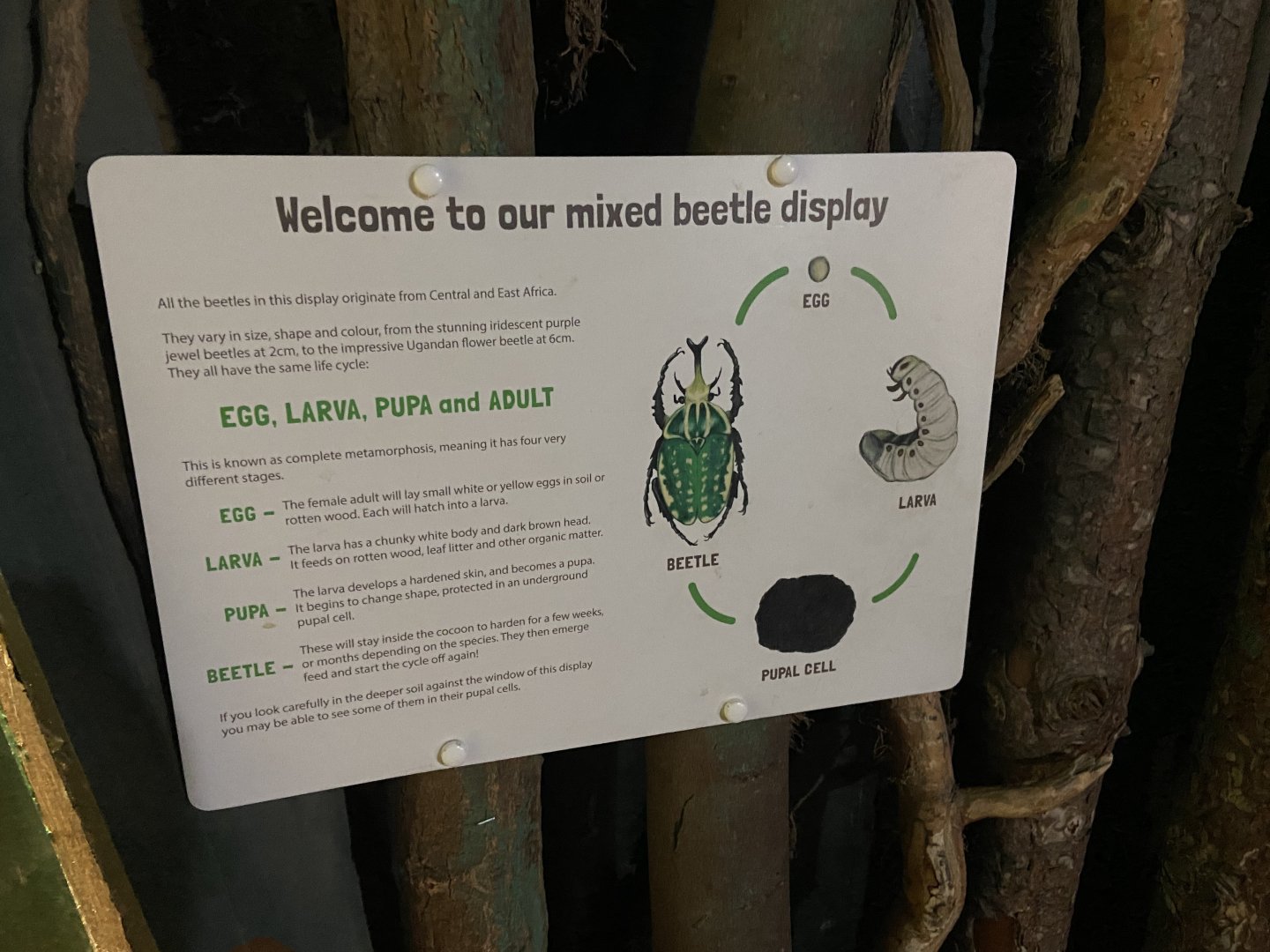 Bristol Zoo Bug World