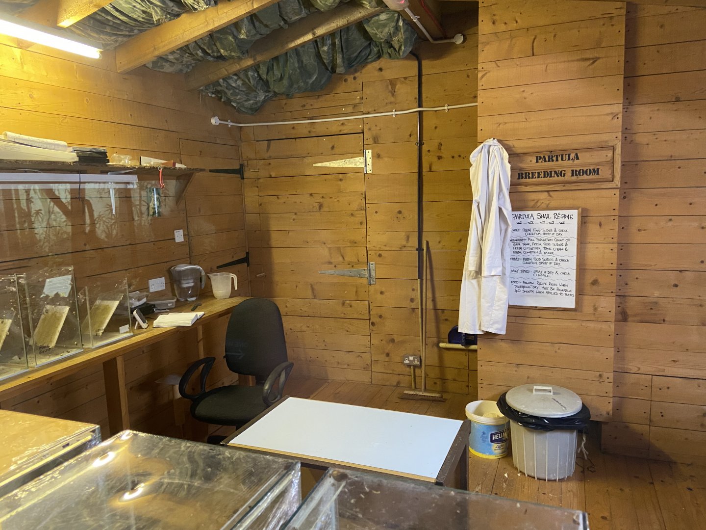 Bristol Zoo Bug World