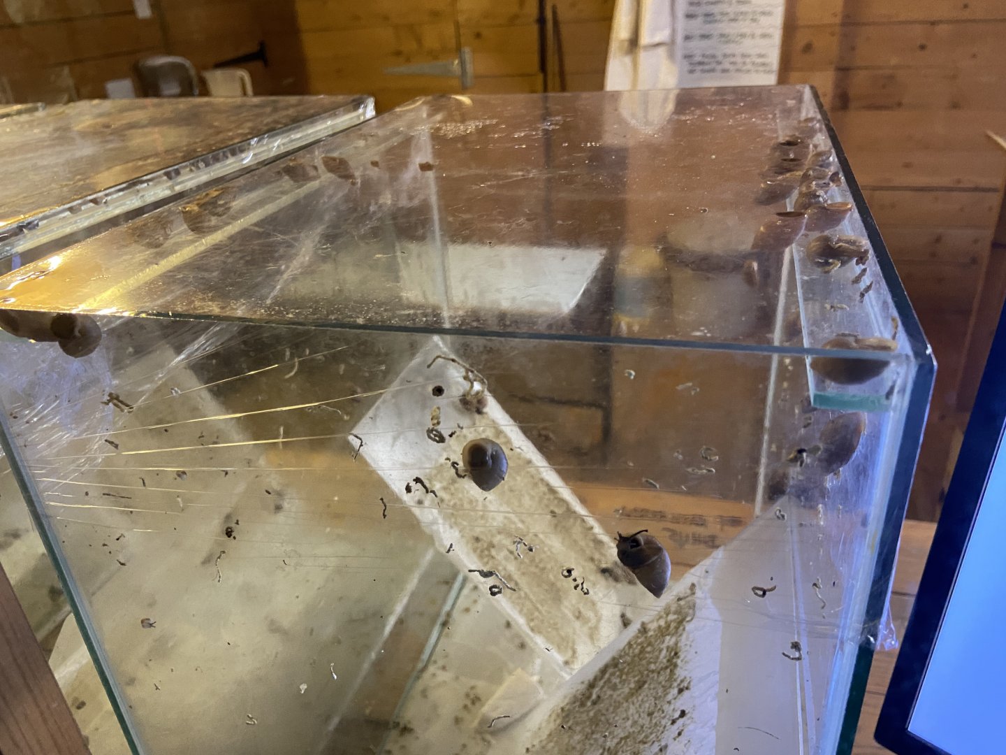 Bristol Zoo Bug World