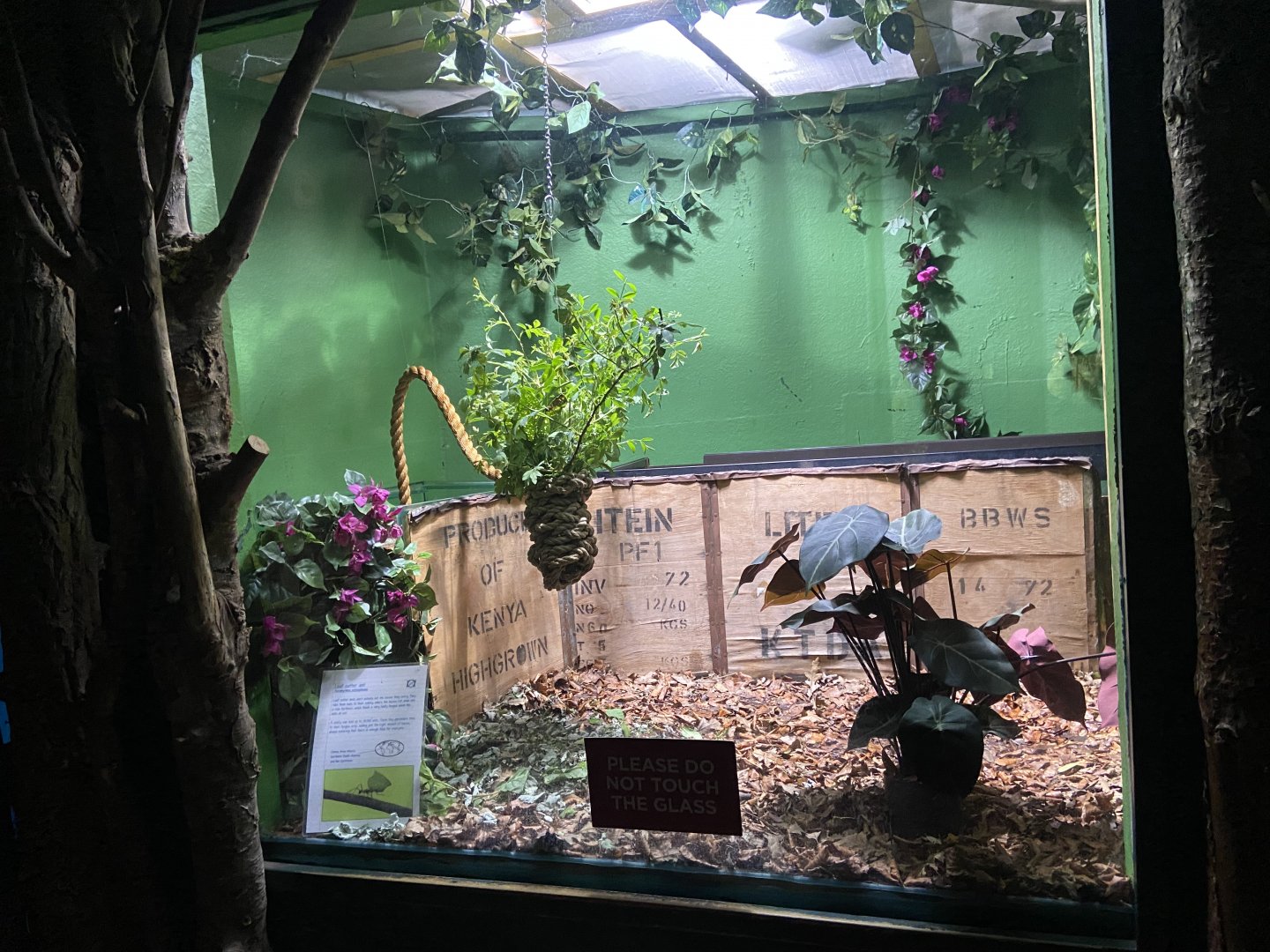 Bristol Zoo Bug World