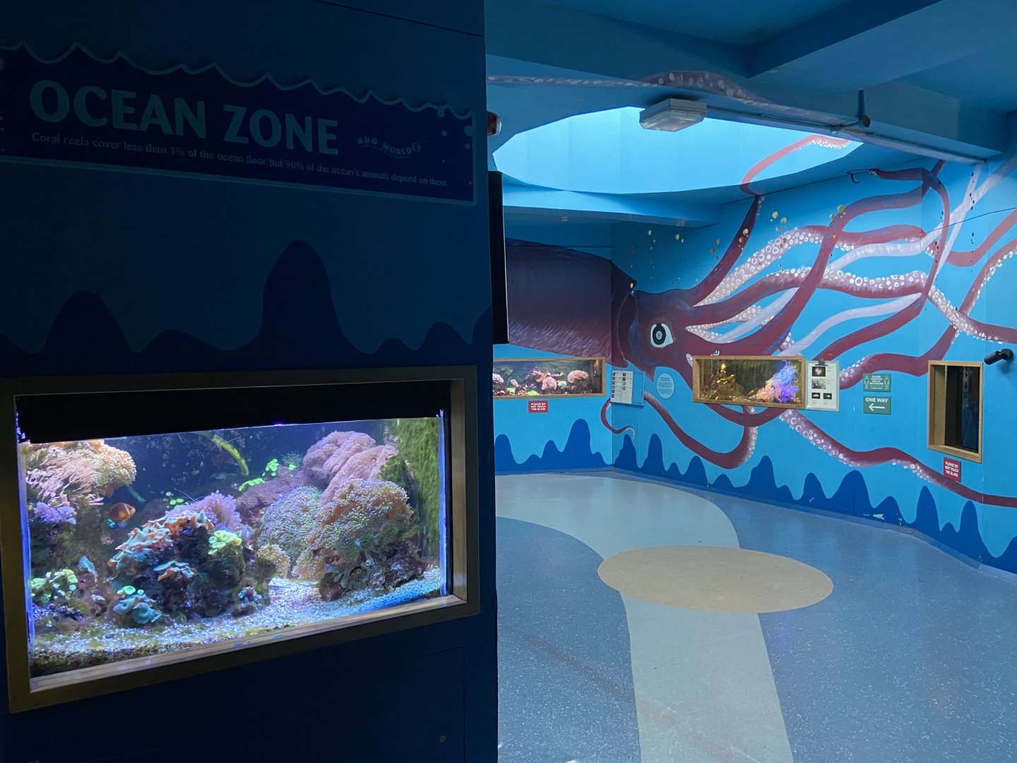 Bristol Zoo Bug World