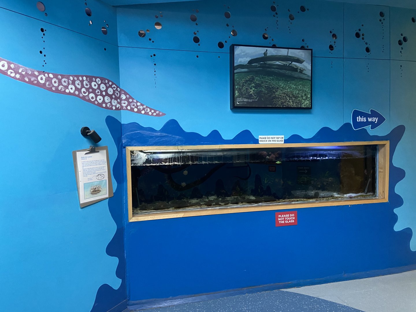 Bristol Zoo Bug World