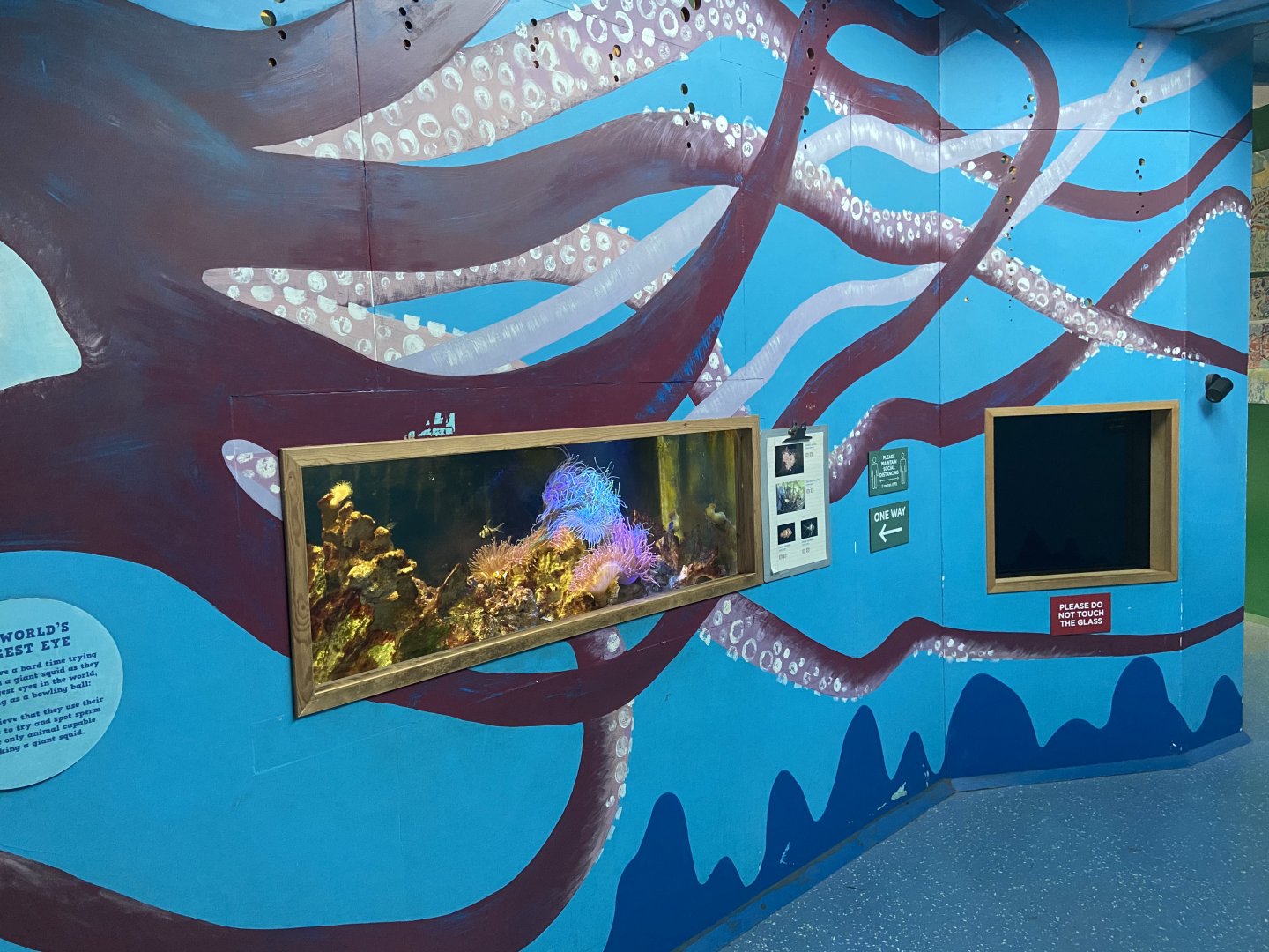 Bristol Zoo Bug World