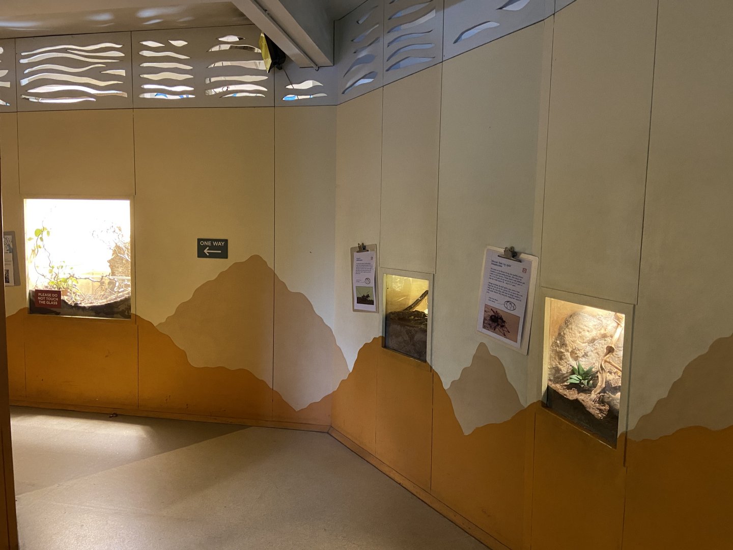 Bristol Zoo Bug World