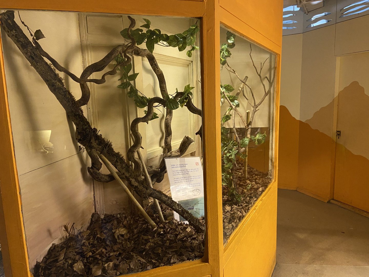 Bristol Zoo Bug World