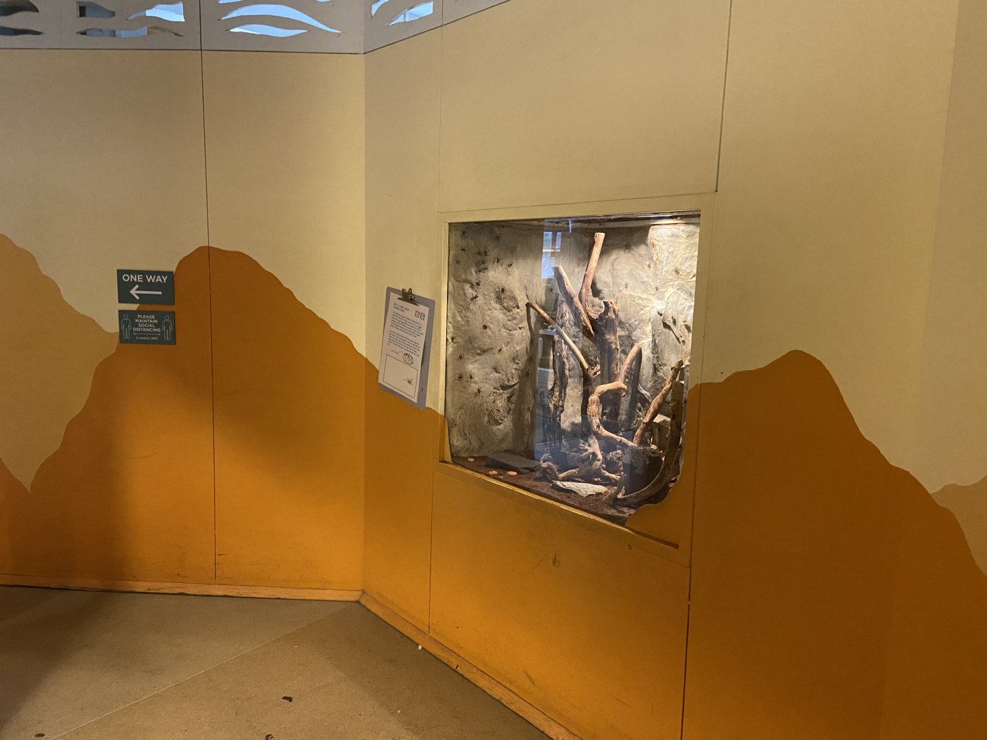 Bristol Zoo Bug World