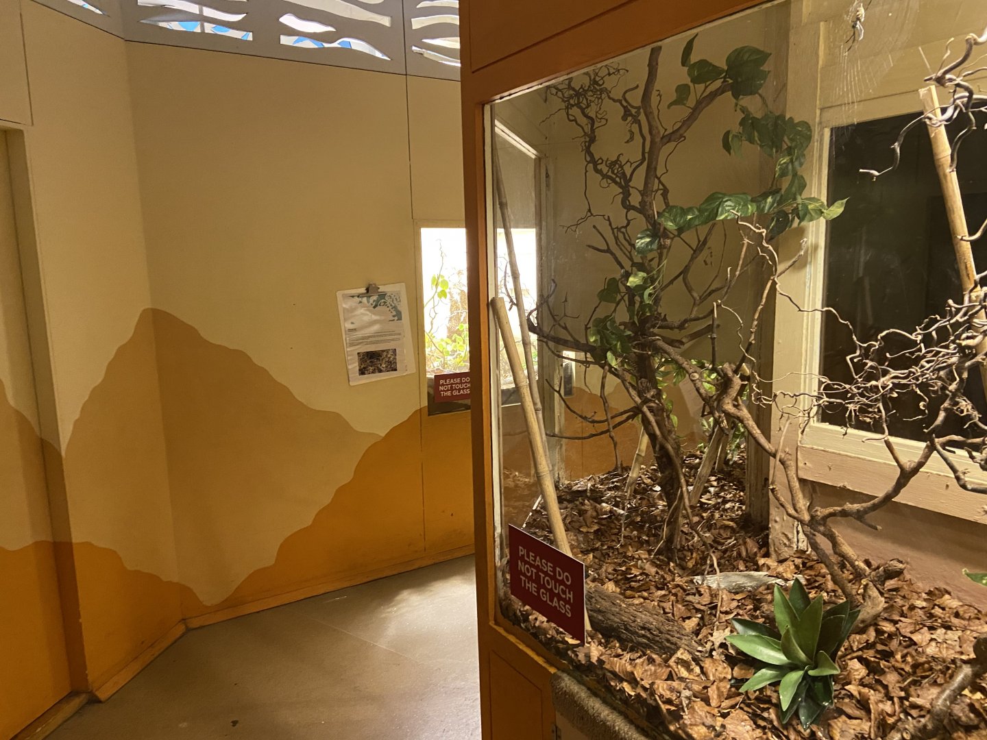 Bristol Zoo Bug World