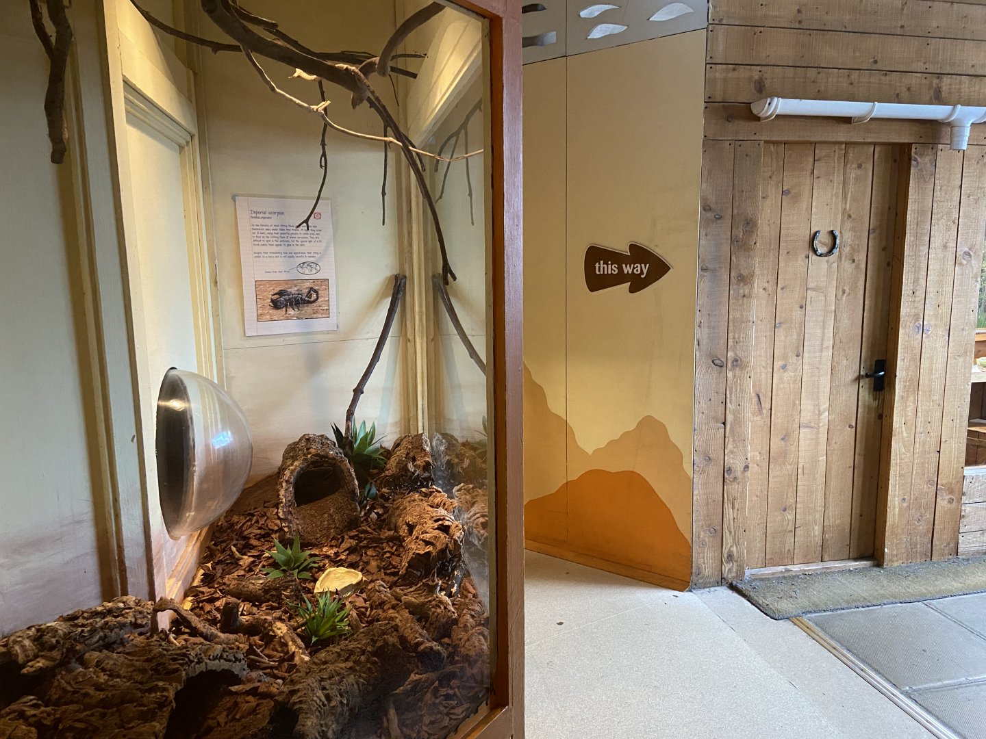 Bristol Zoo Bug World