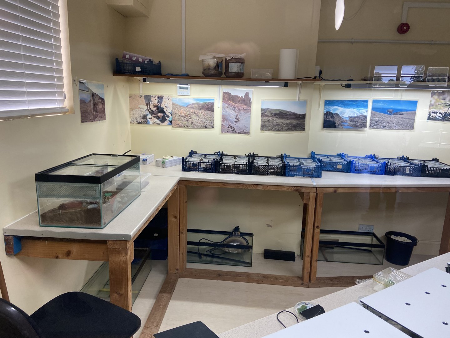 Bristol Zoo Bug World