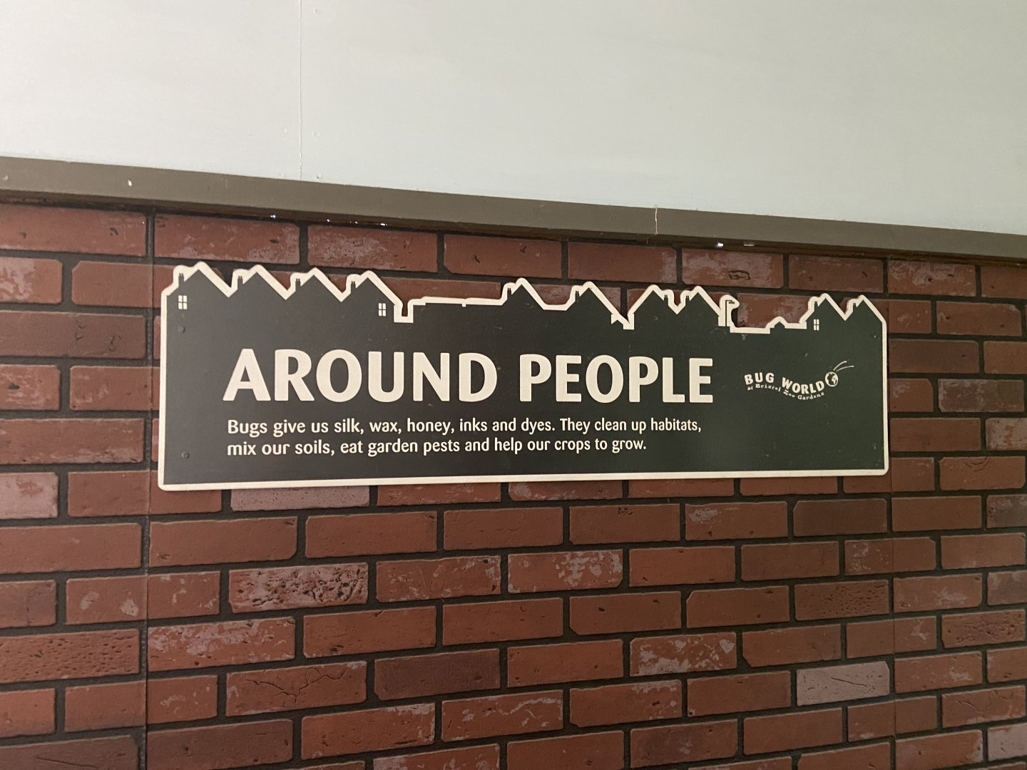 Bristol Zoo Bug World