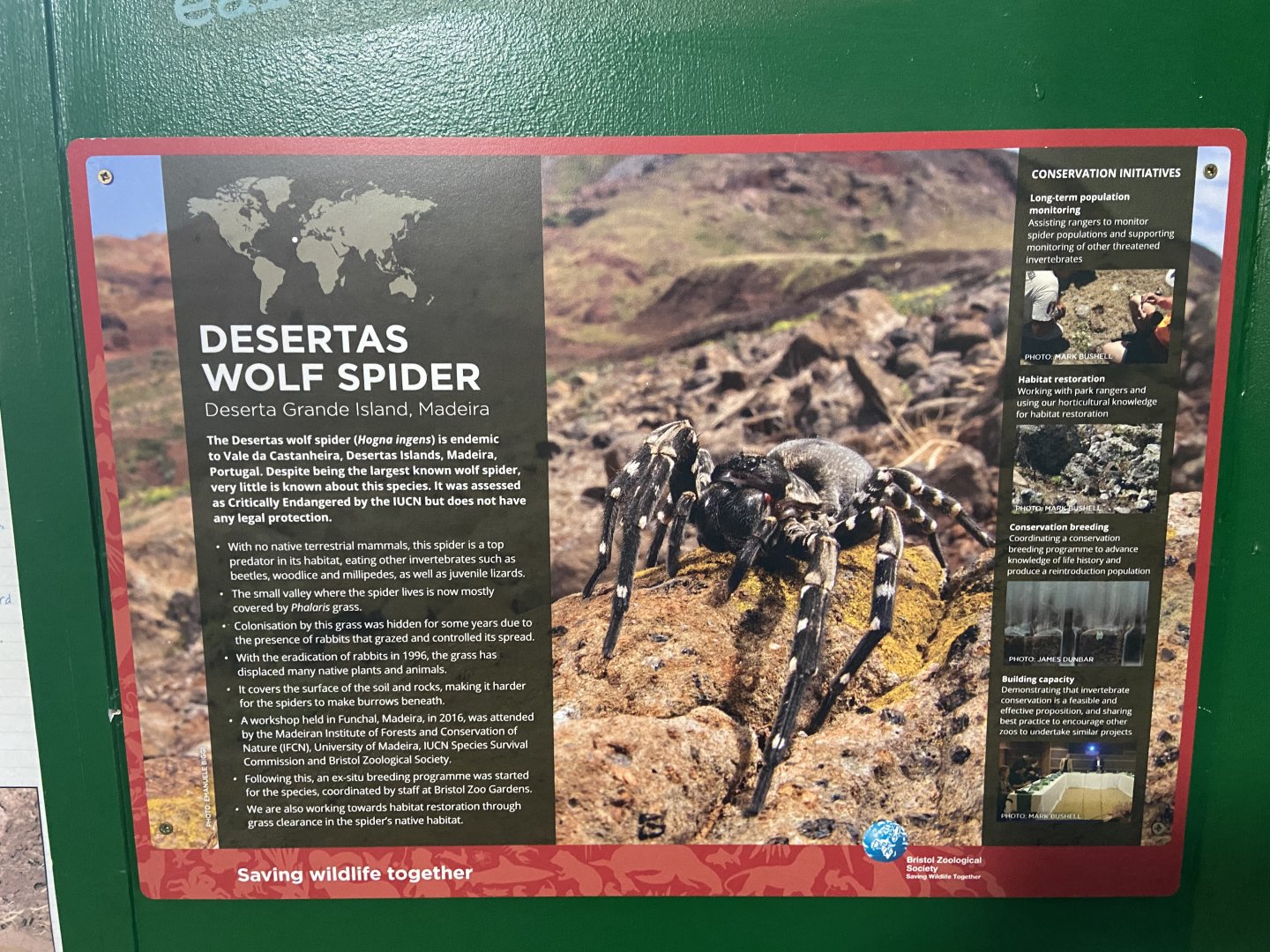 Bristol Zoo Bug World