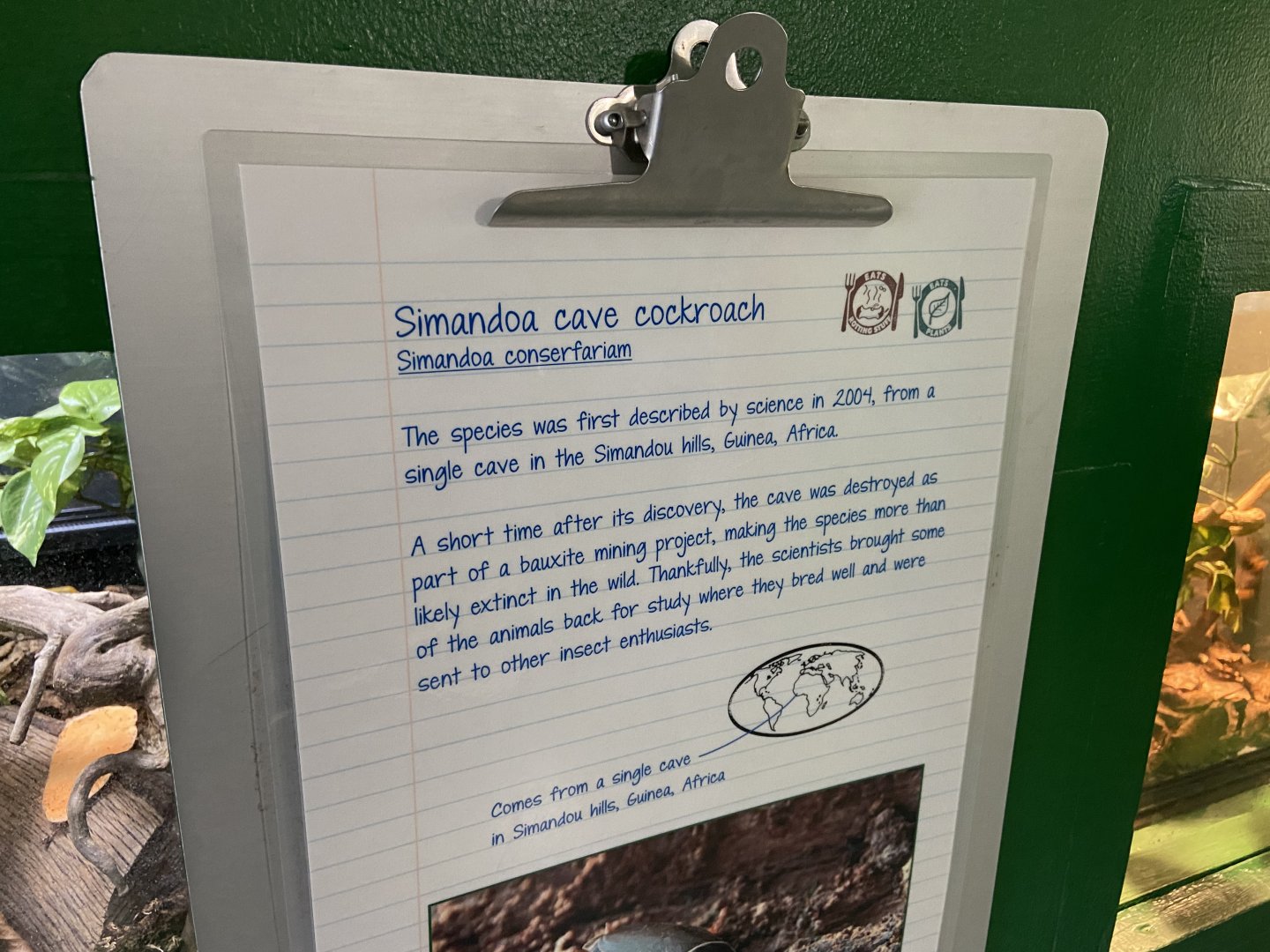 Bristol Zoo Bug World