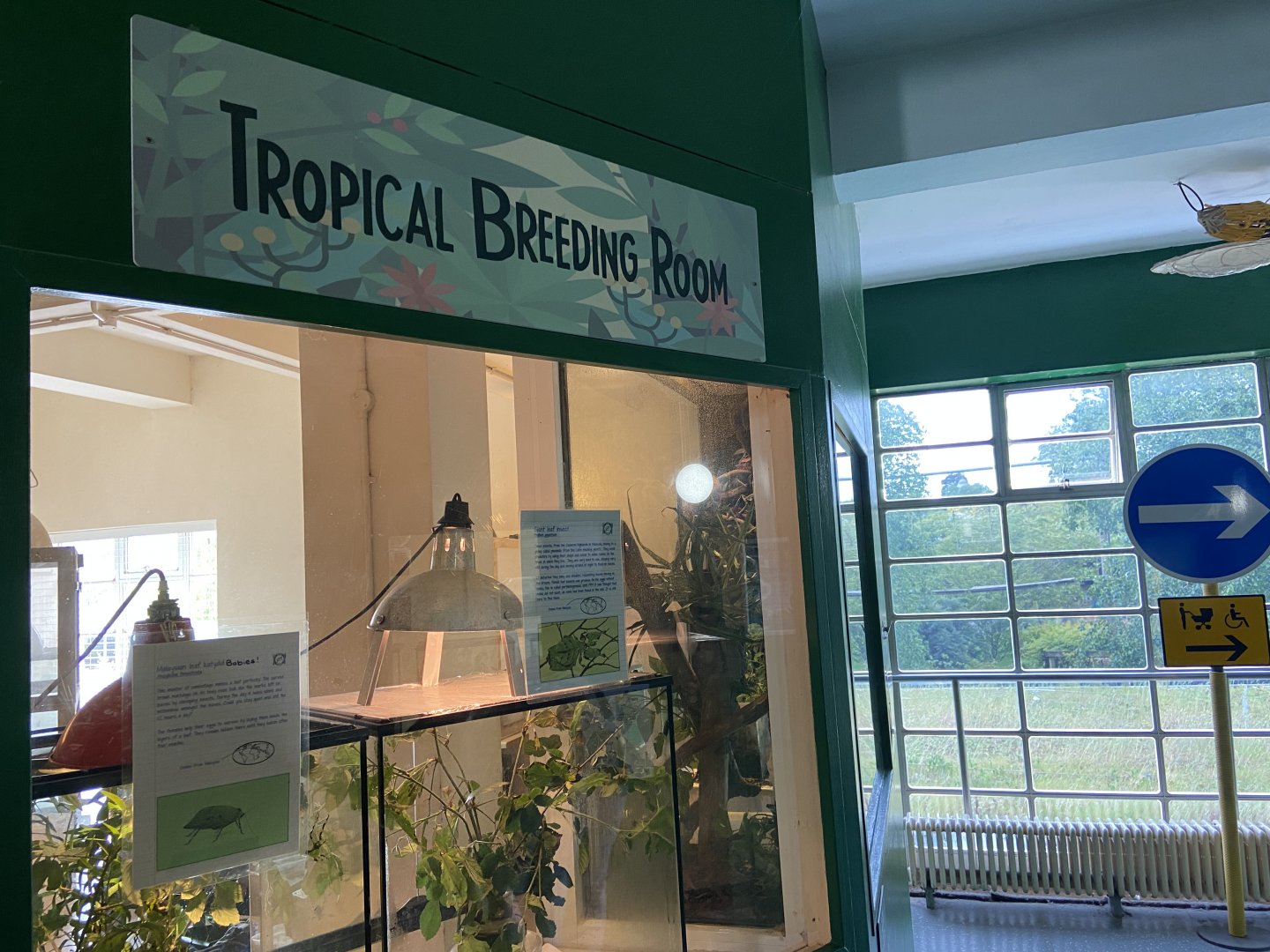 Bristol Zoo Bug World