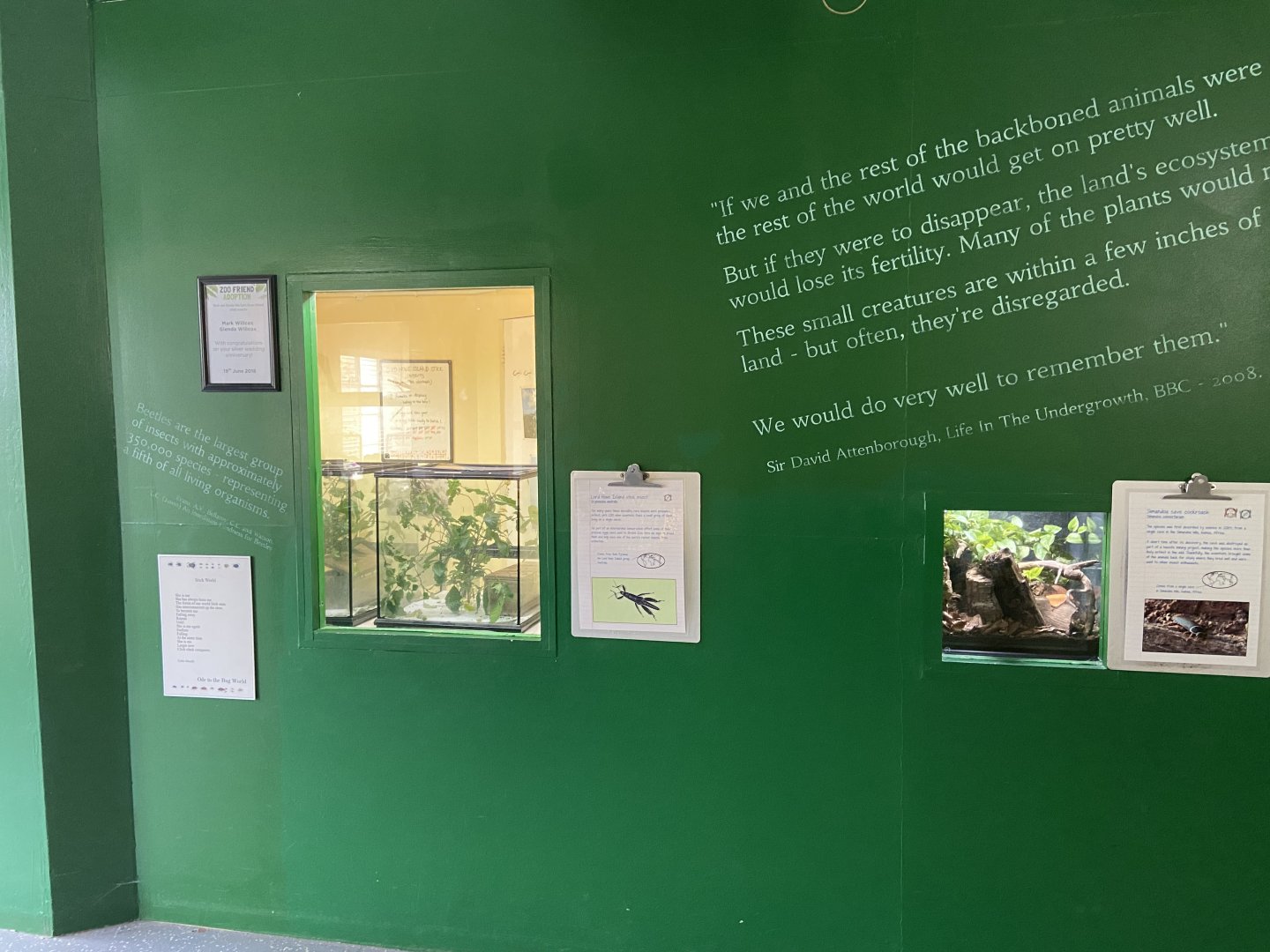 Bristol Zoo Bug World