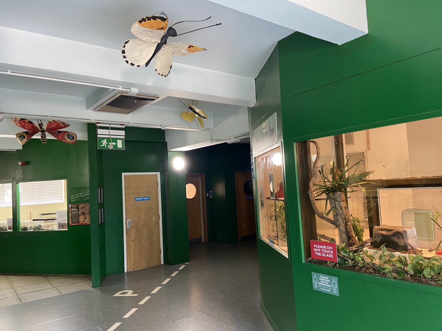 Bristol Zoo Bug World