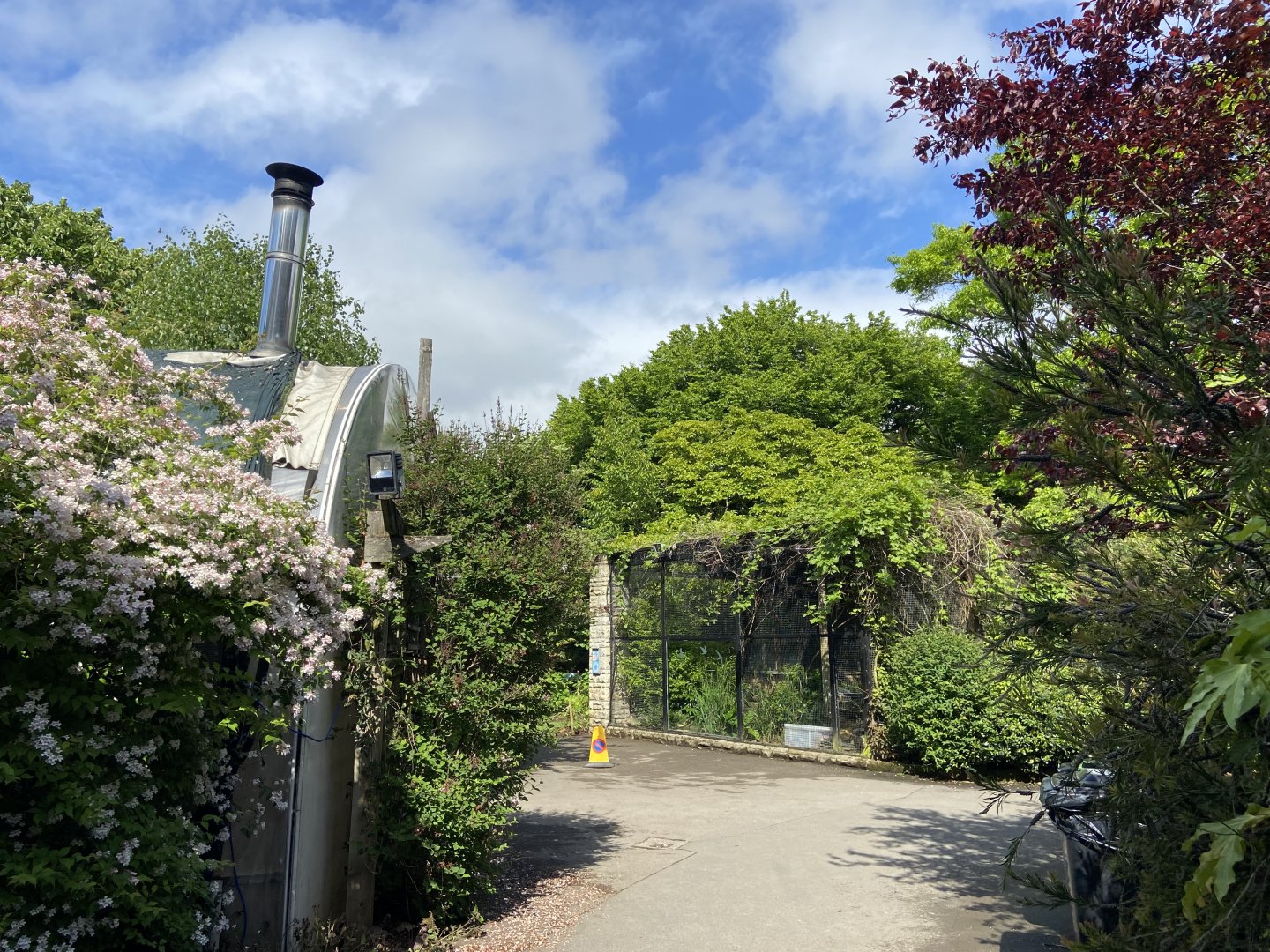Bristol Zoo Butterfly Forest