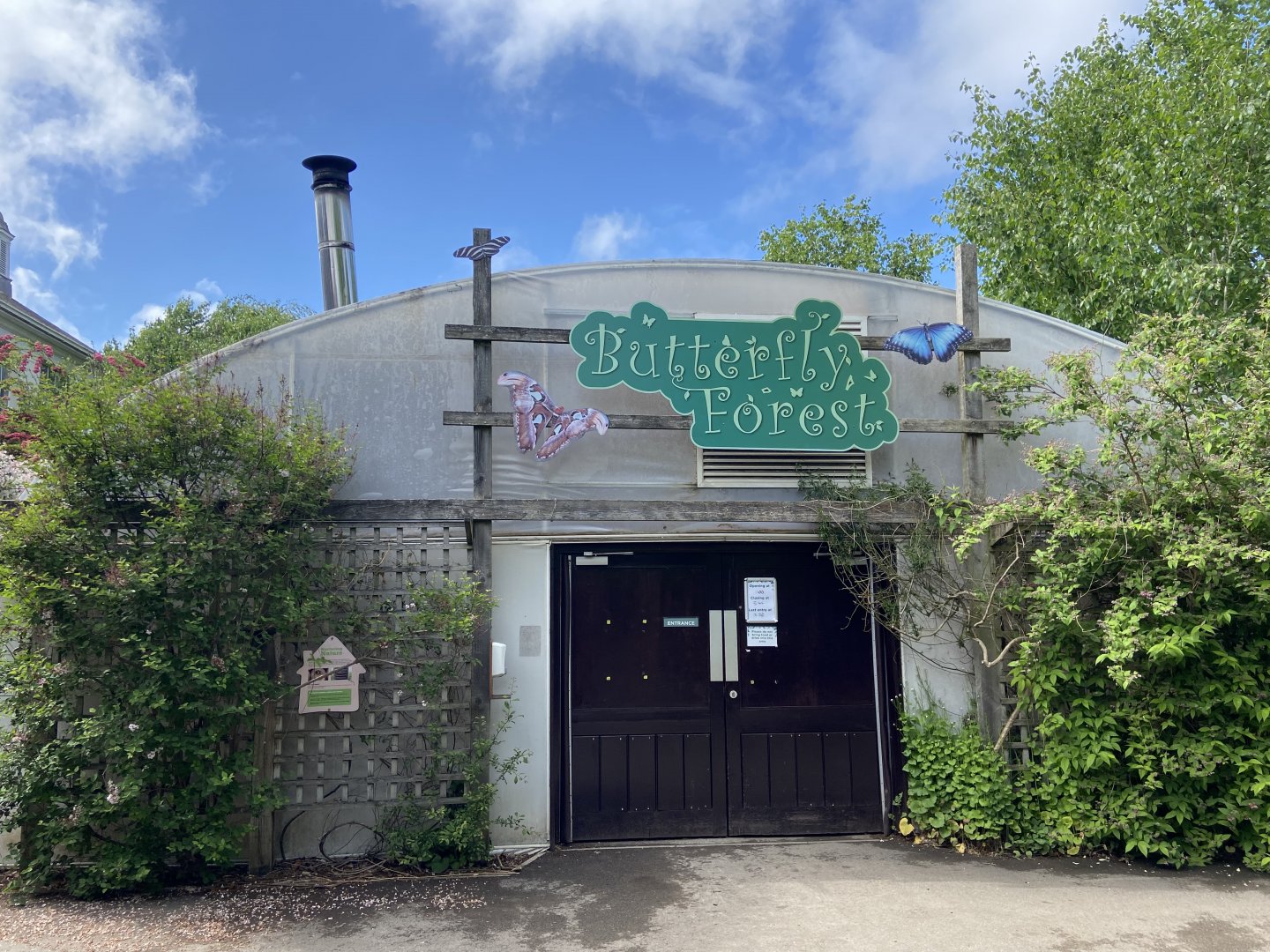 Bristol Zoo Butterfly Forest