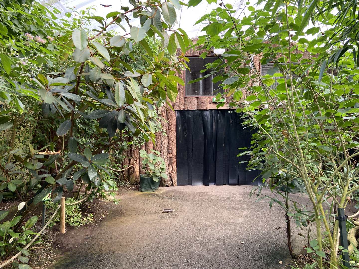 Bristol Zoo Butterfly Forest