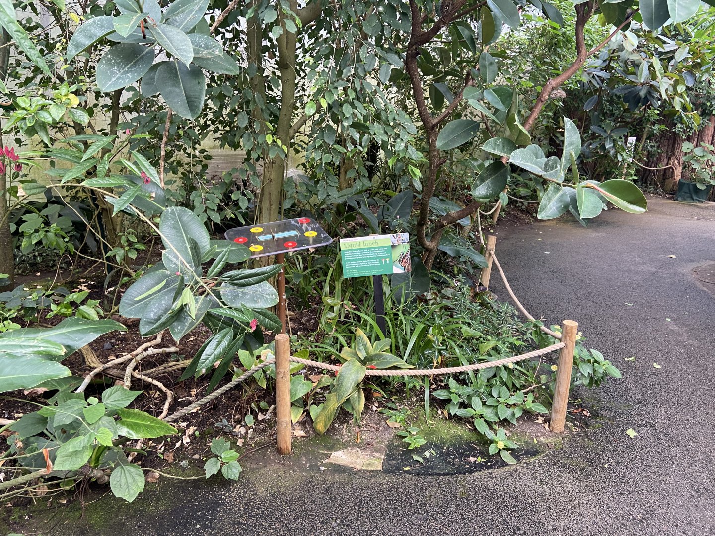 Bristol Zoo Butterfly Forest