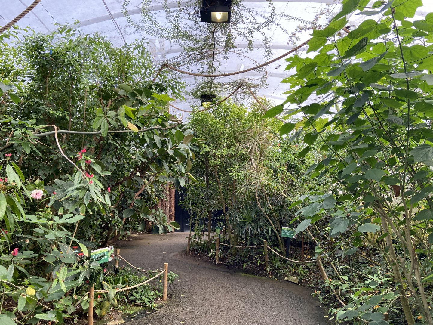 Bristol Zoo Butterfly Forest