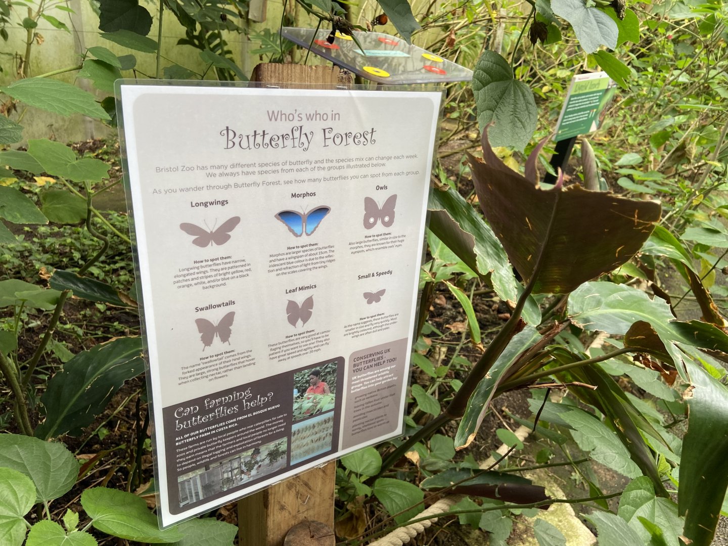 Bristol Zoo Butterfly Forest