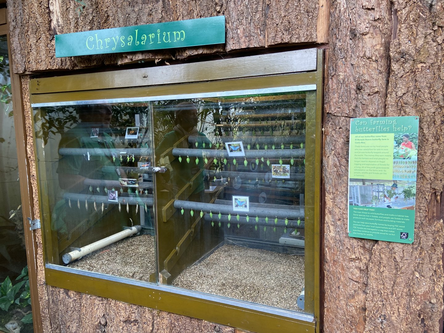 Bristol Zoo Butterfly Forest