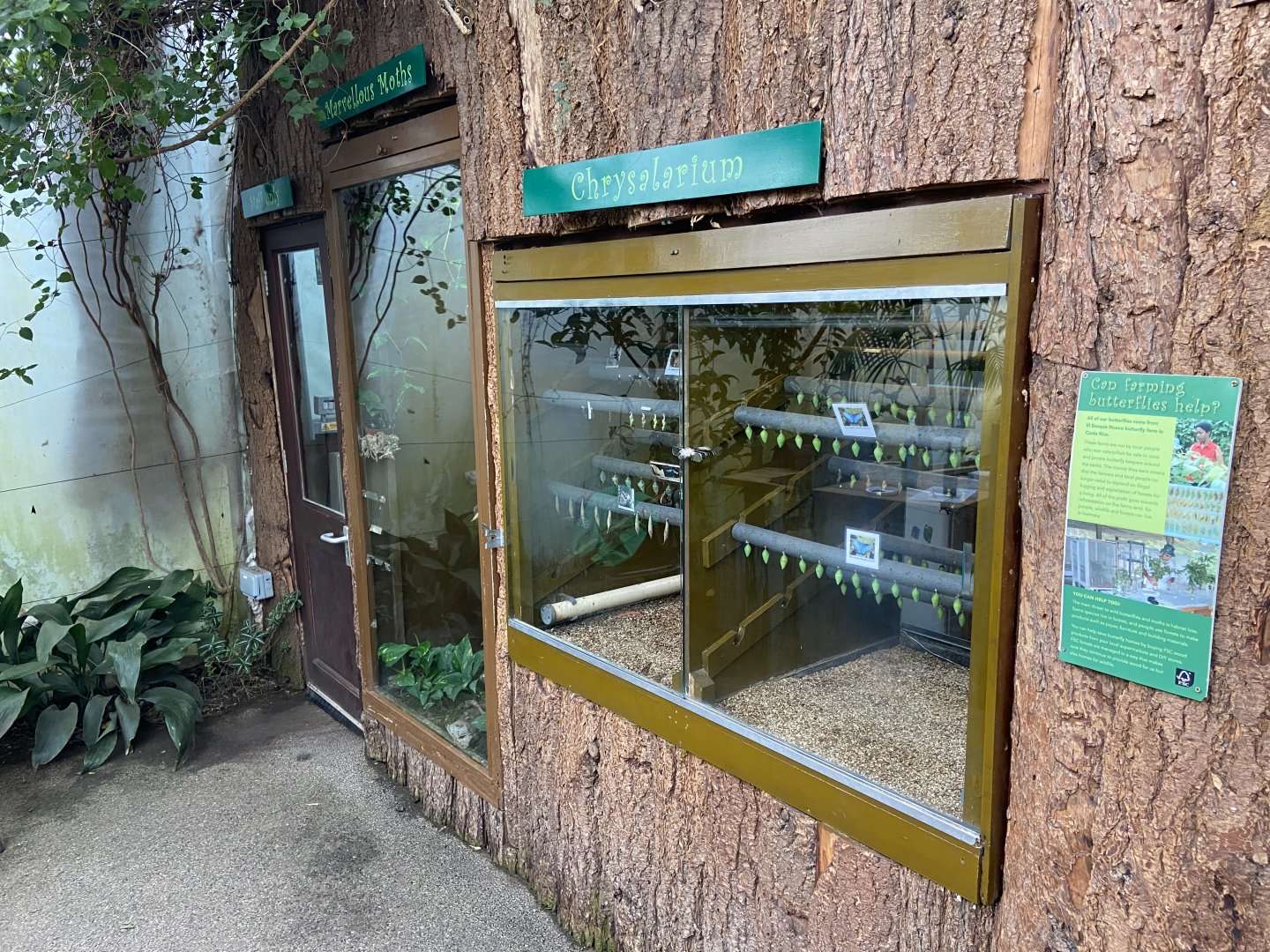 Bristol Zoo Butterfly Forest