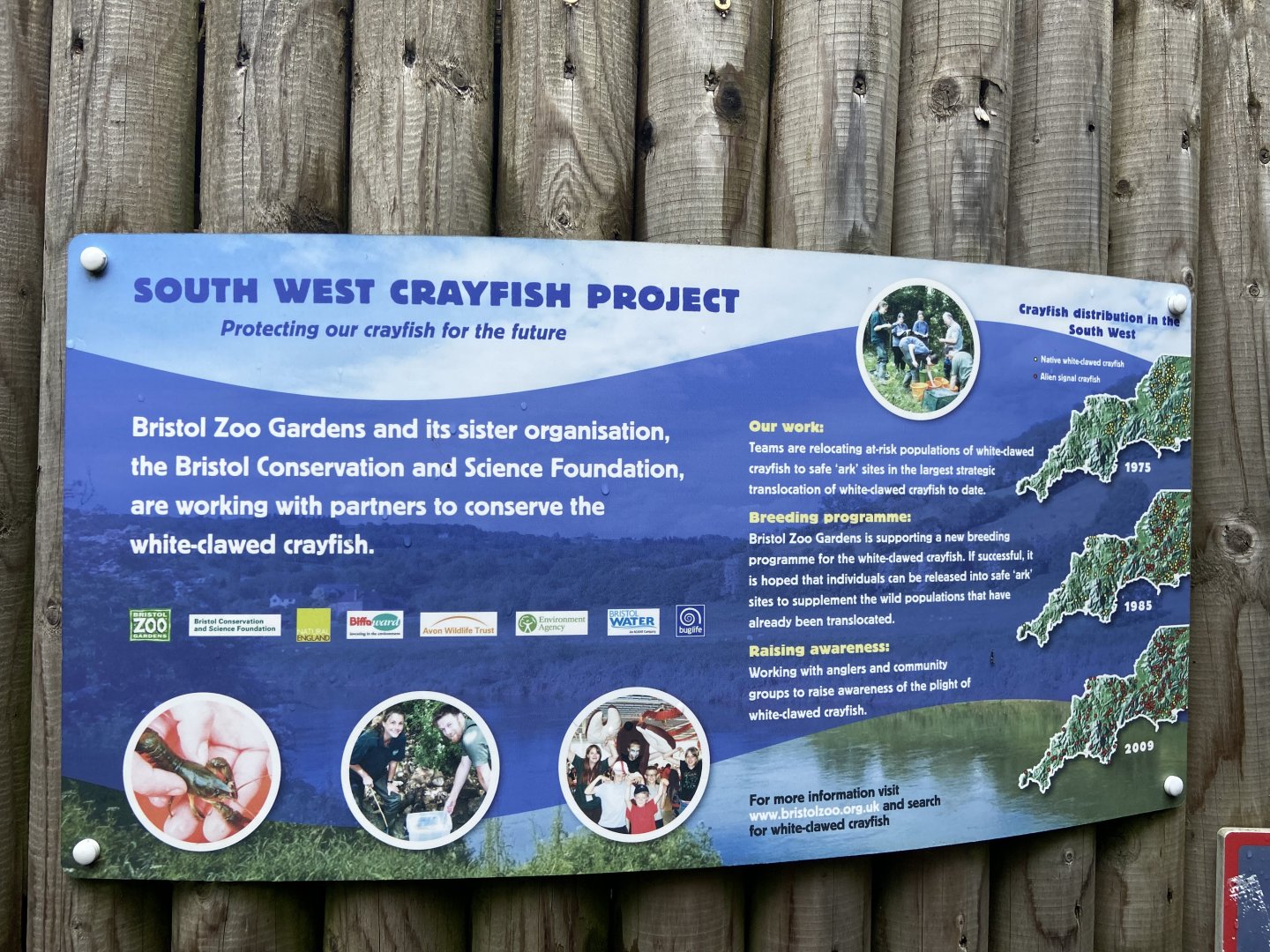 Bristol Zoo crayfish