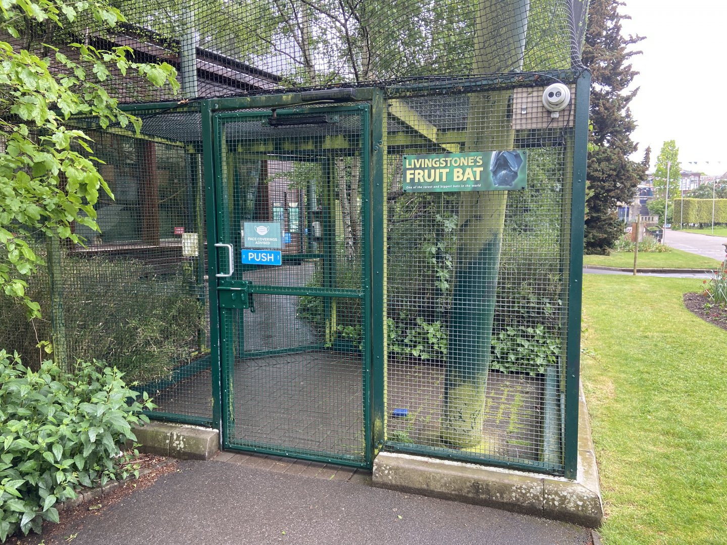 Bristol Zoo fruit bats