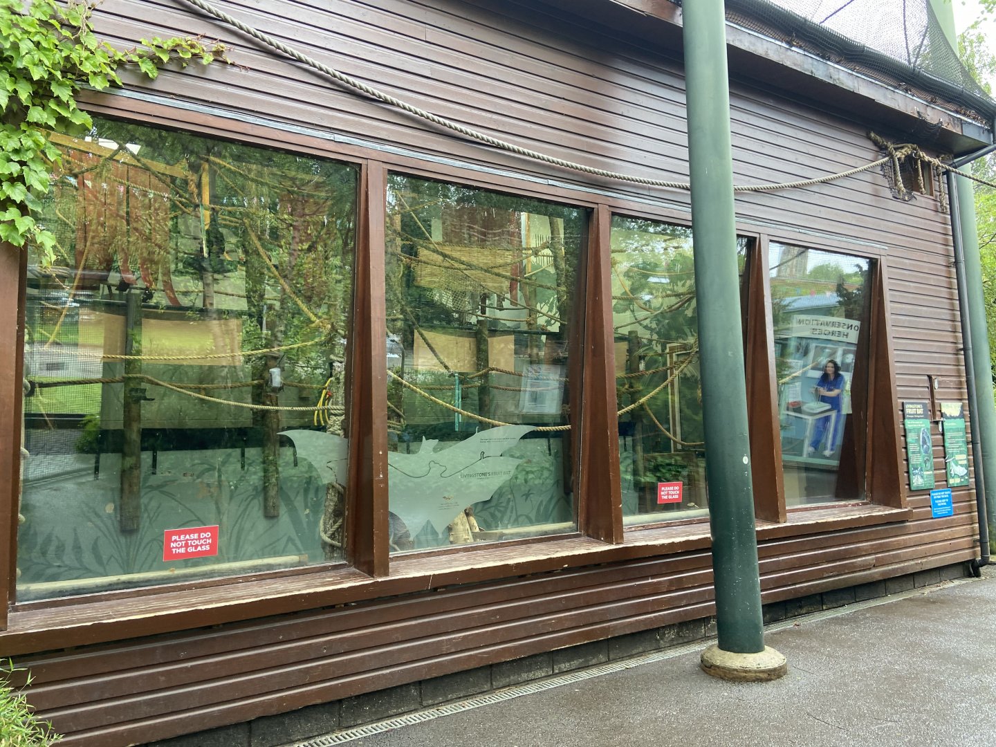 Bristol Zoo fruit bats