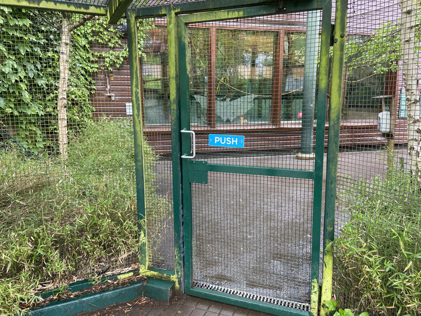 Bristol Zoo fruit bats